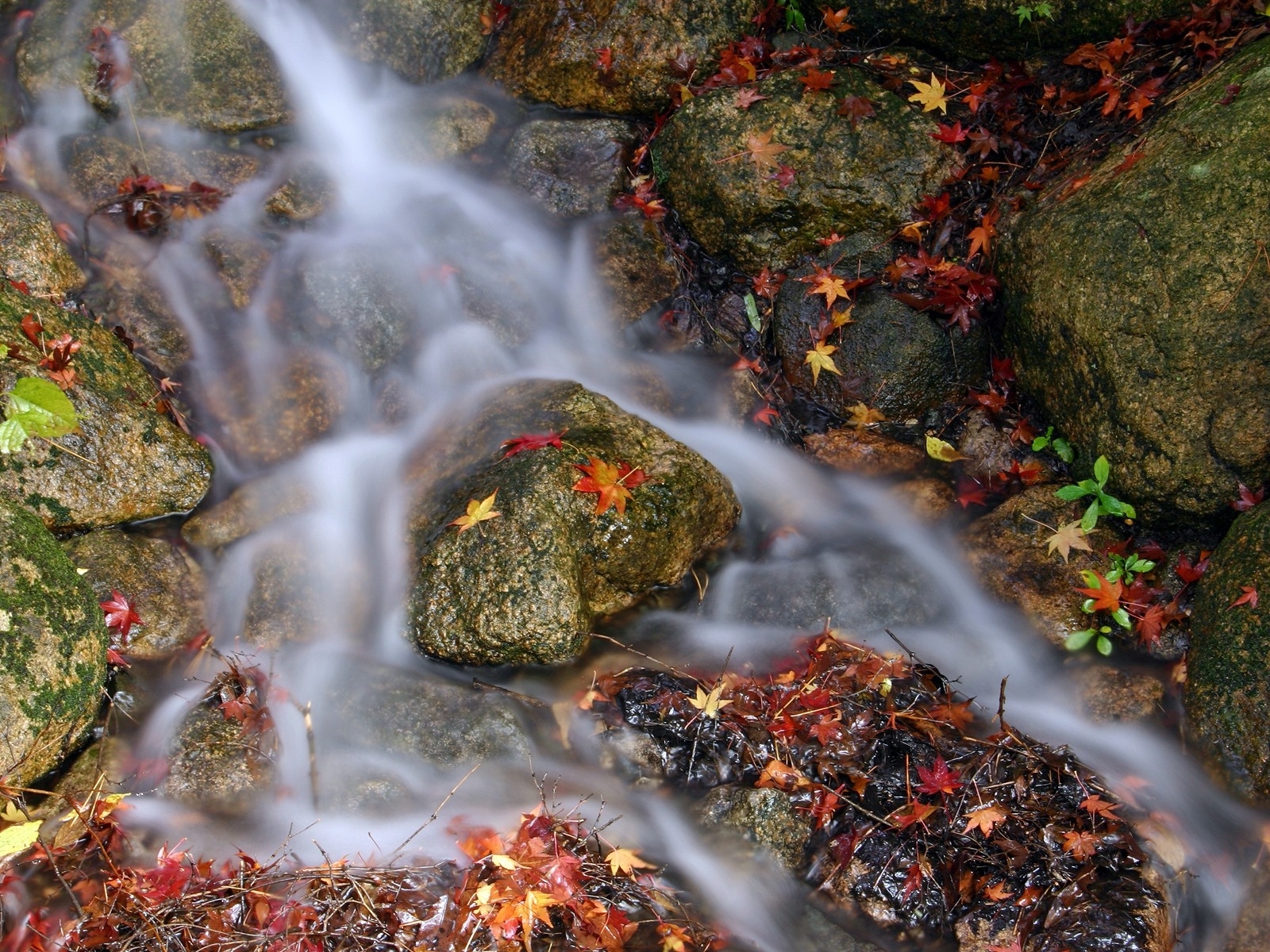 Download mobile wallpaper Stones, Rivers, Leaves, Water, Landscape for free.