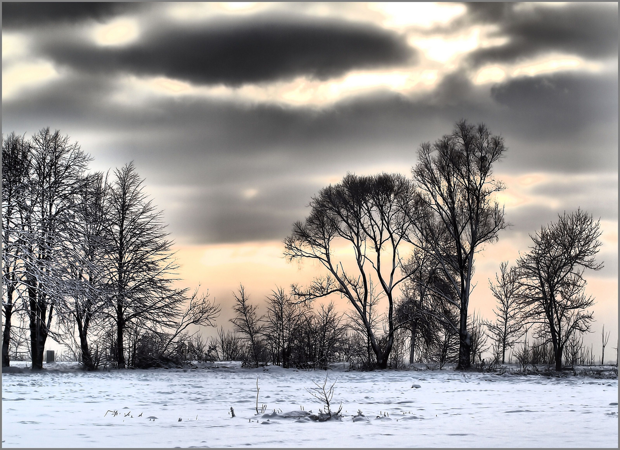 Завантажити шпалери безкоштовно Зима, Дерева, Хмари, Сніг, Природа картинка на робочий стіл ПК