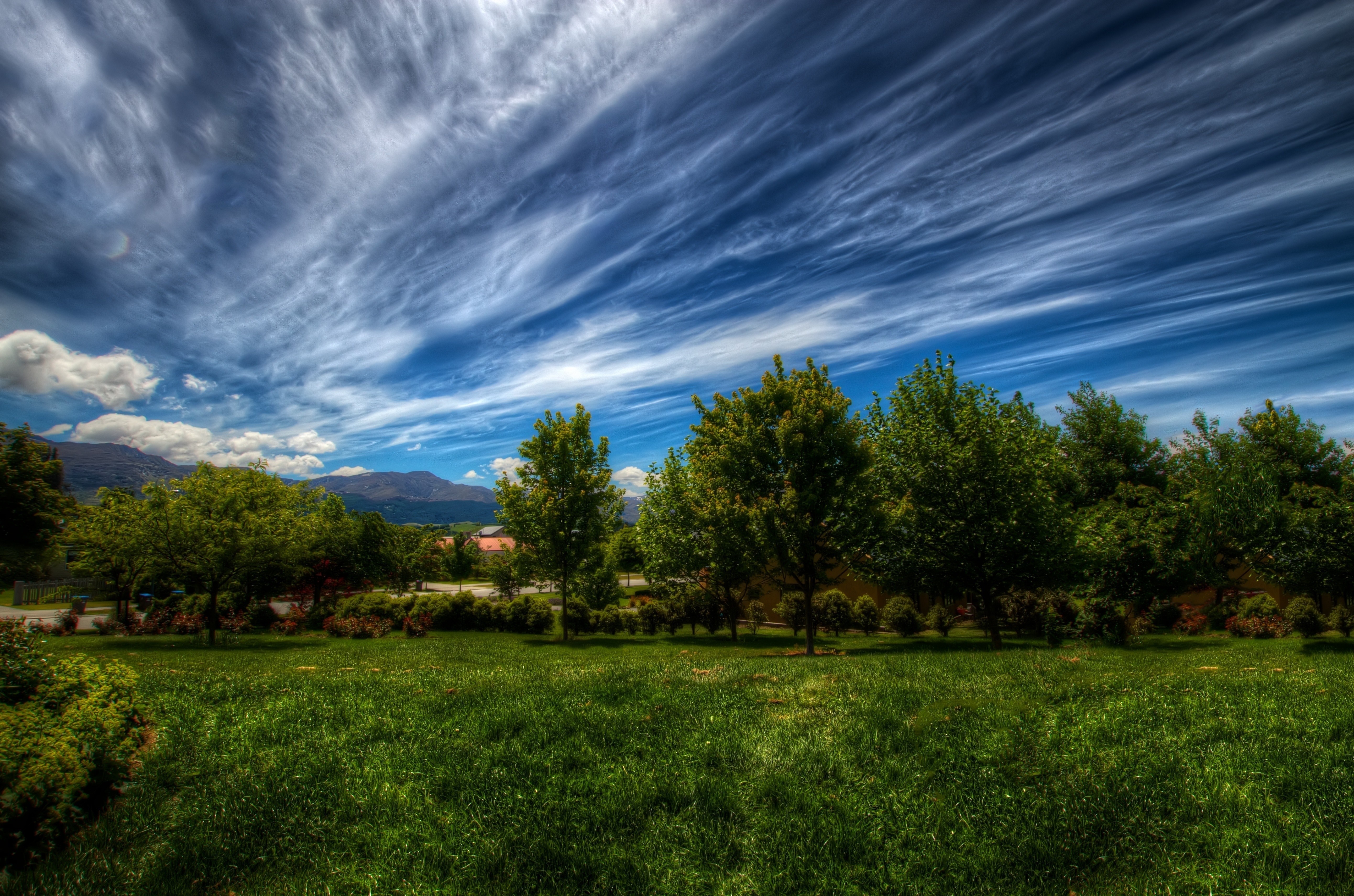 Laden Sie das Bäume, Grass, Clouds, Natur, Sky, Linien-Bild kostenlos auf Ihren PC-Desktop herunter