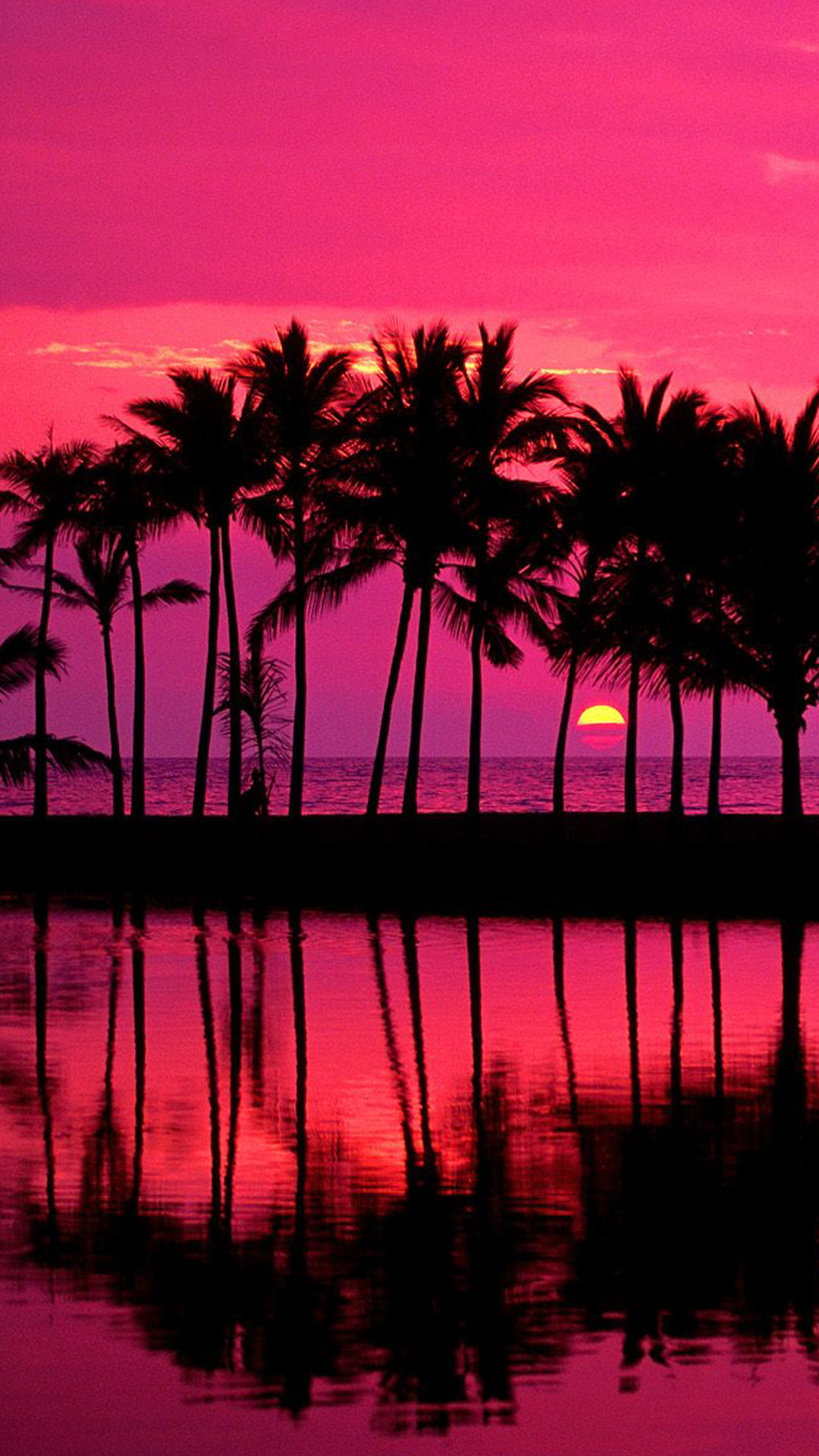 Download mobile wallpaper Sunset, Sun, Reflection, Earth, Palm Tree for free.