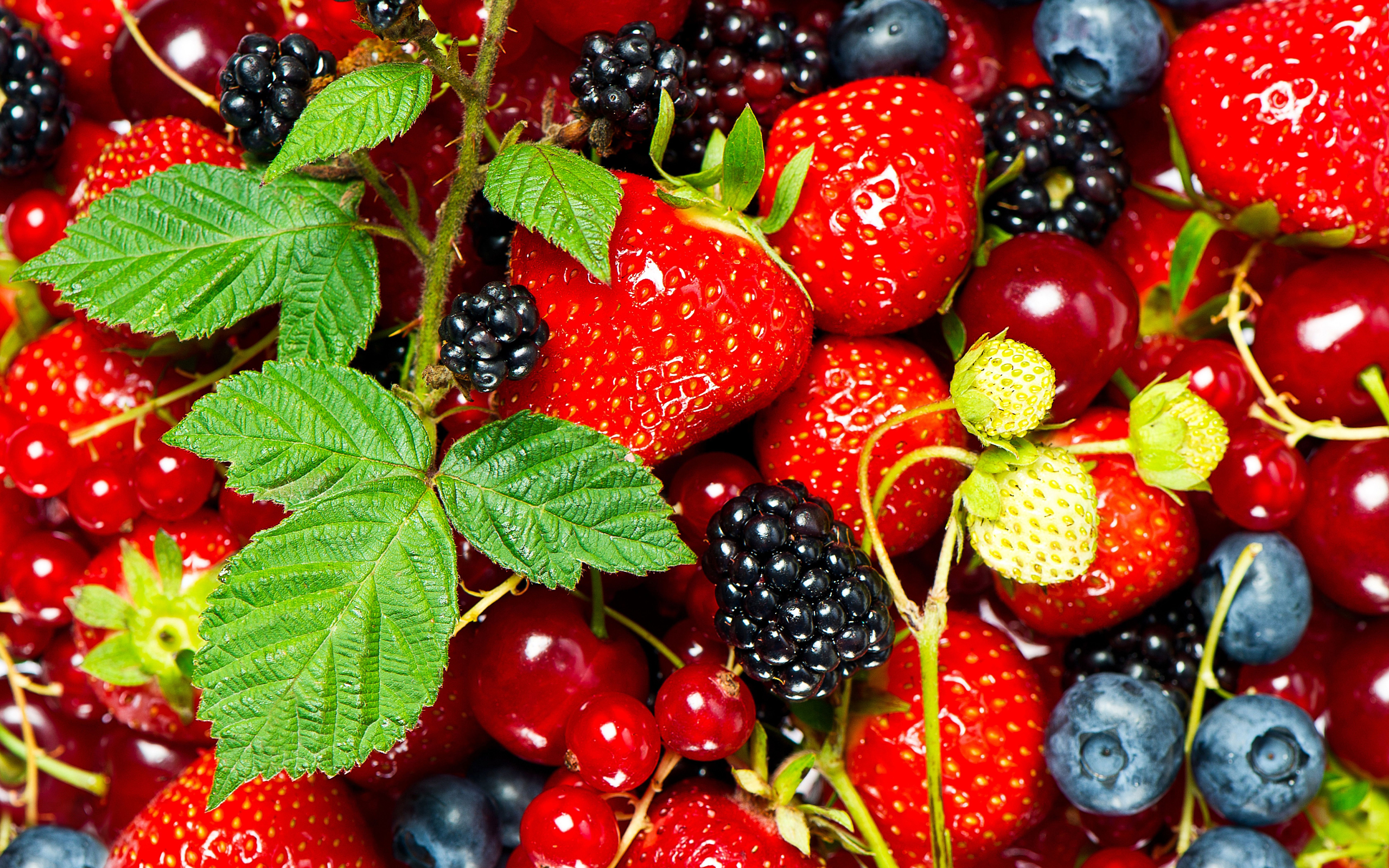 Download mobile wallpaper Food, Berry for free.