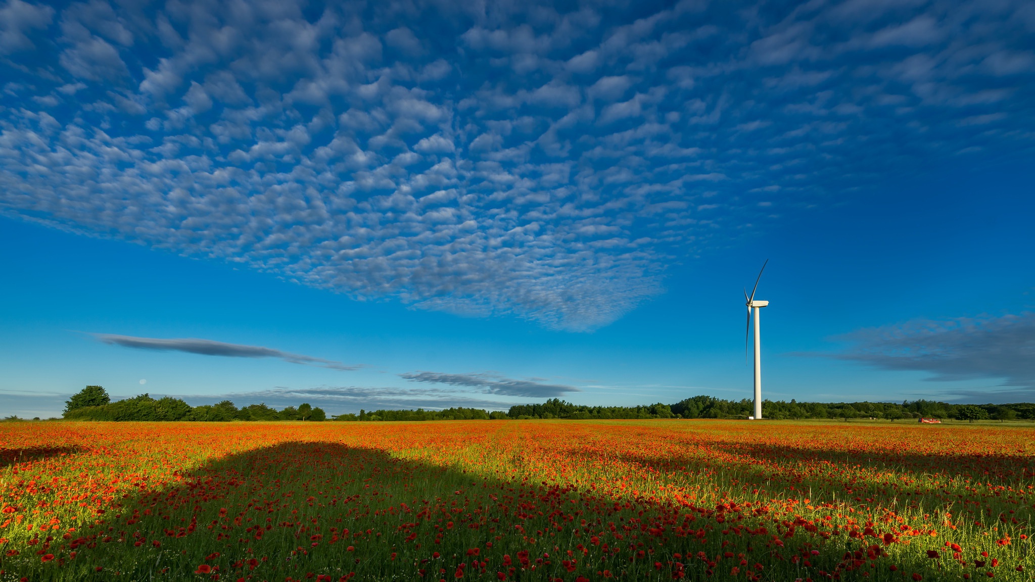 Download mobile wallpaper Nature, Sky, Summer, Flower, Field, Poppy, Wind Turbine, Red Flower, Man Made for free.