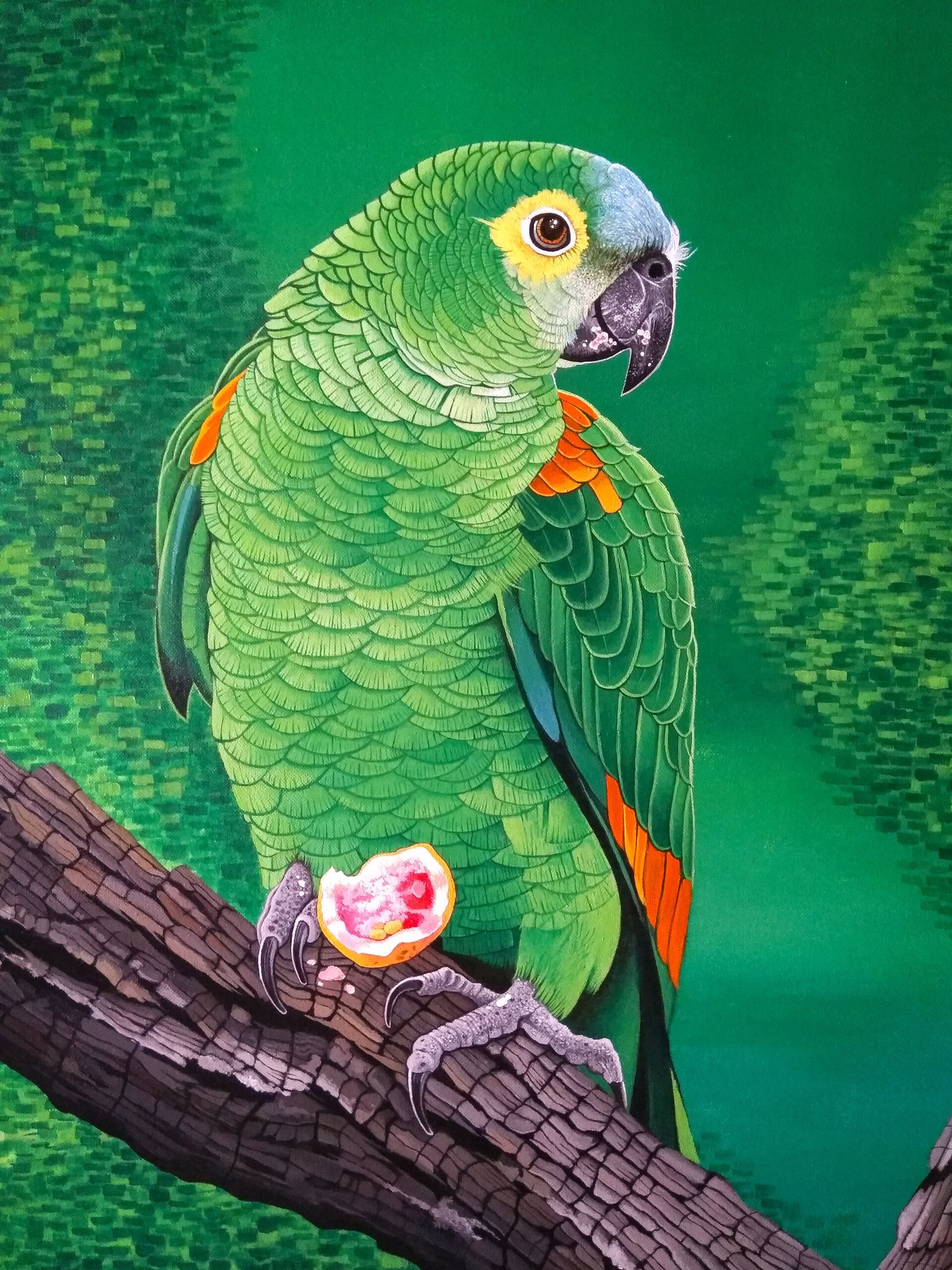 parrots, bright, art, bird, branch, macaw