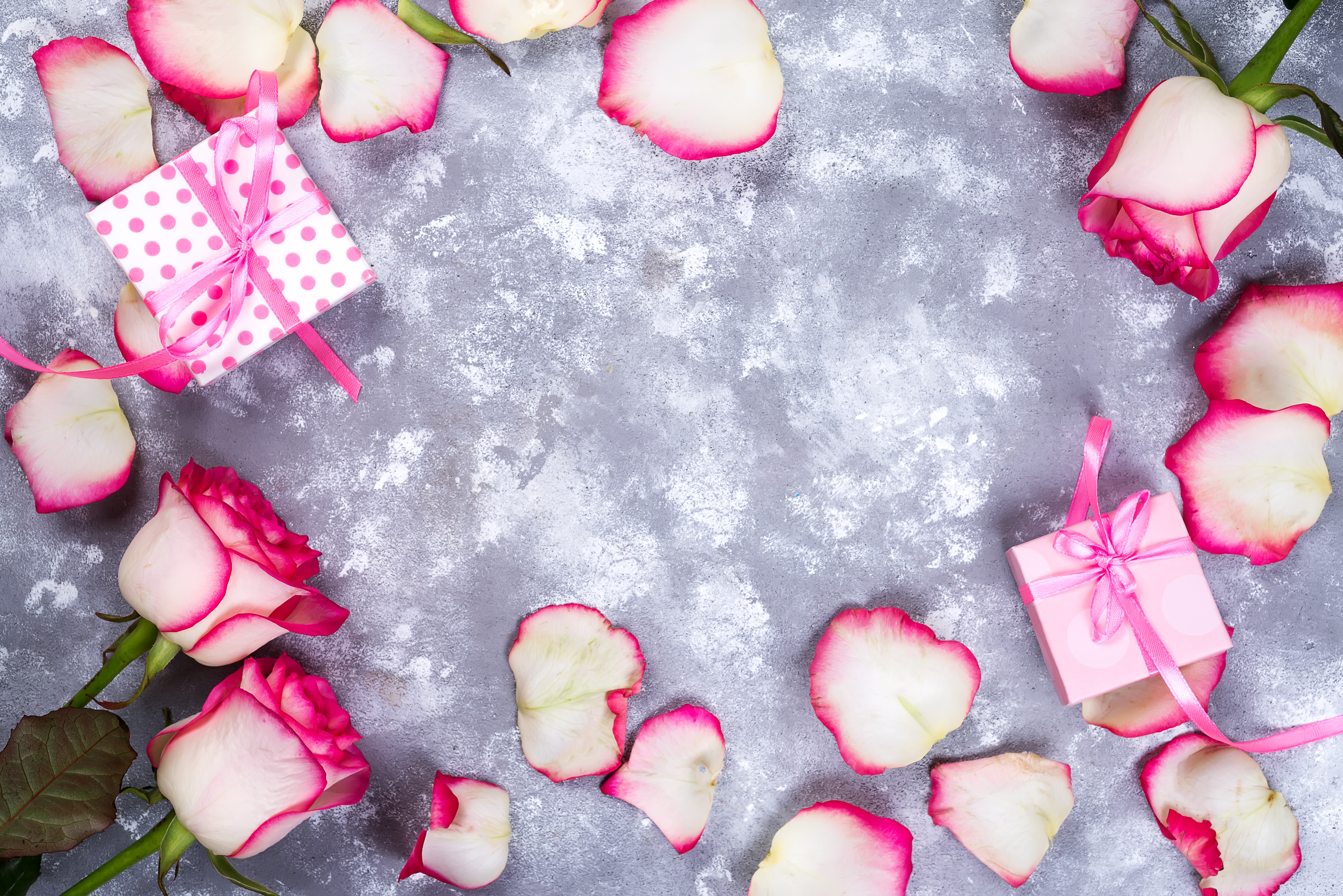Laden Sie das Feiertage, Valentinstag, Blume, Rose, Geschenk, Blütenblatt-Bild kostenlos auf Ihren PC-Desktop herunter