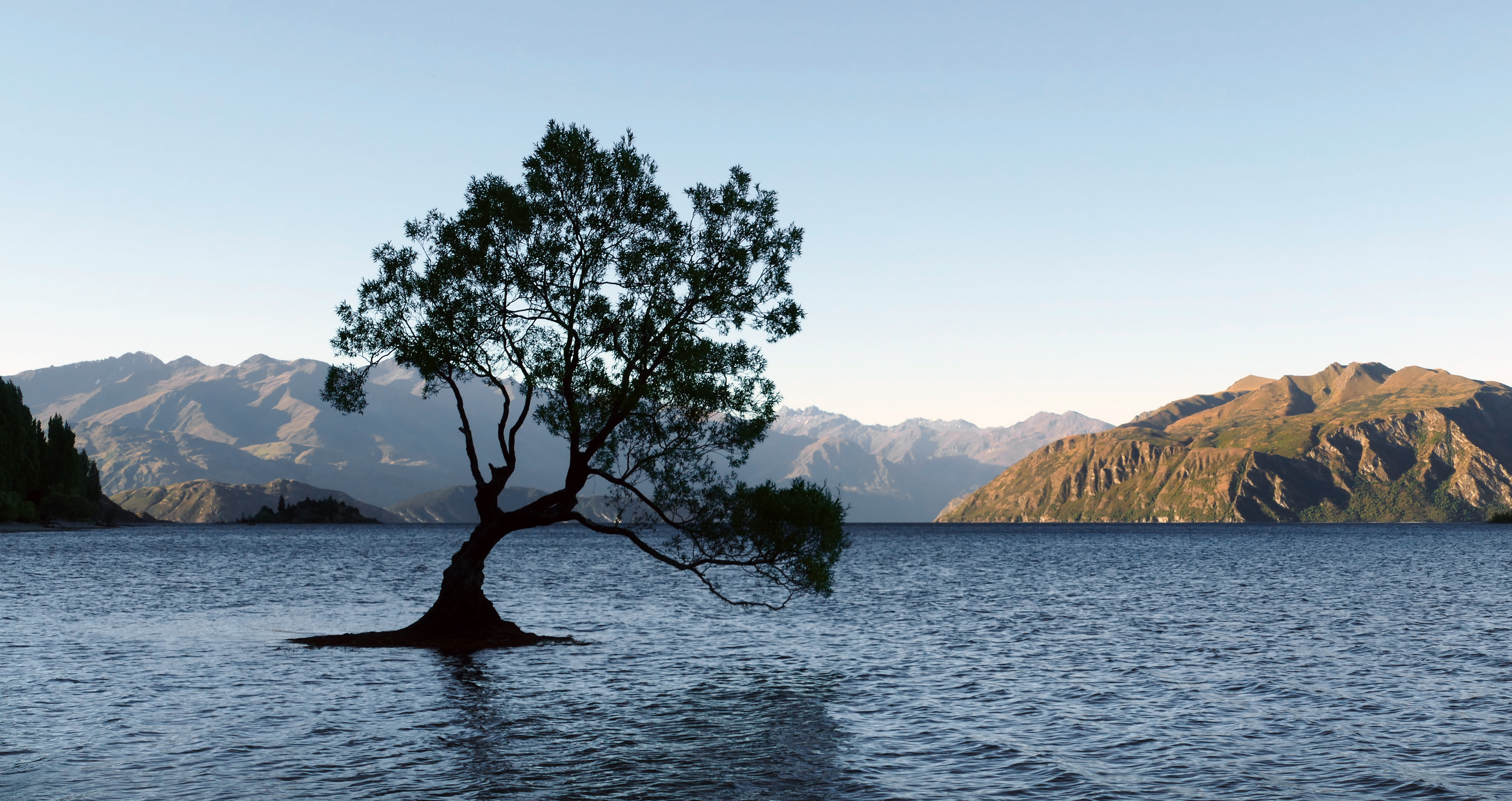 Free download wallpaper Nature, Lakes, Mountain, Lake, New Zealand, Tree, Earth, Lonely Tree, Lake Wānaka on your PC desktop
