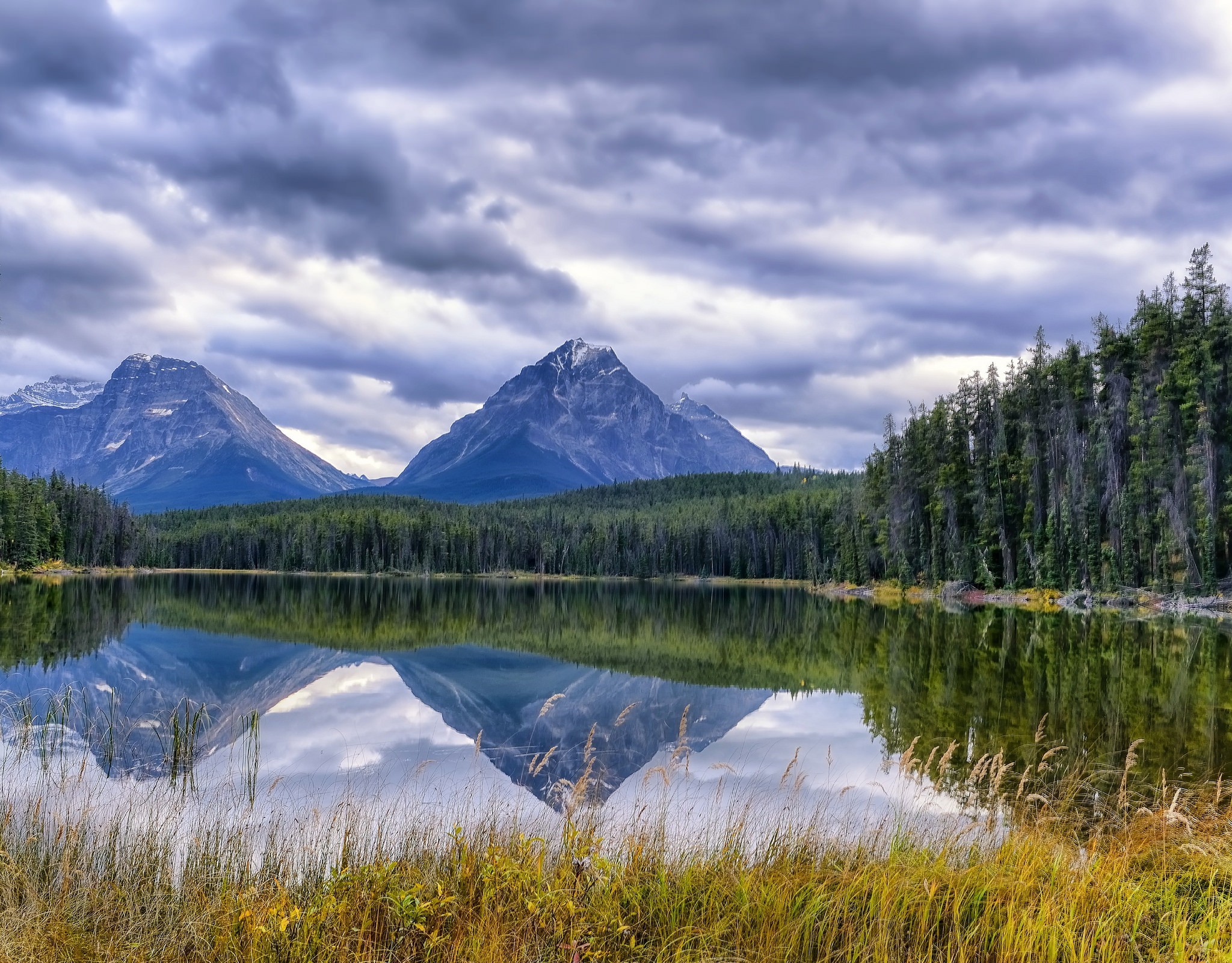 658351 Hintergrundbild herunterladen erde/natur, spiegelung, alberta, kanada, wolke, jasper nationalpark, see, blutegel see, berg fryatt, gebirge, whirlpool spitze - Bildschirmschoner und Bilder kostenlos