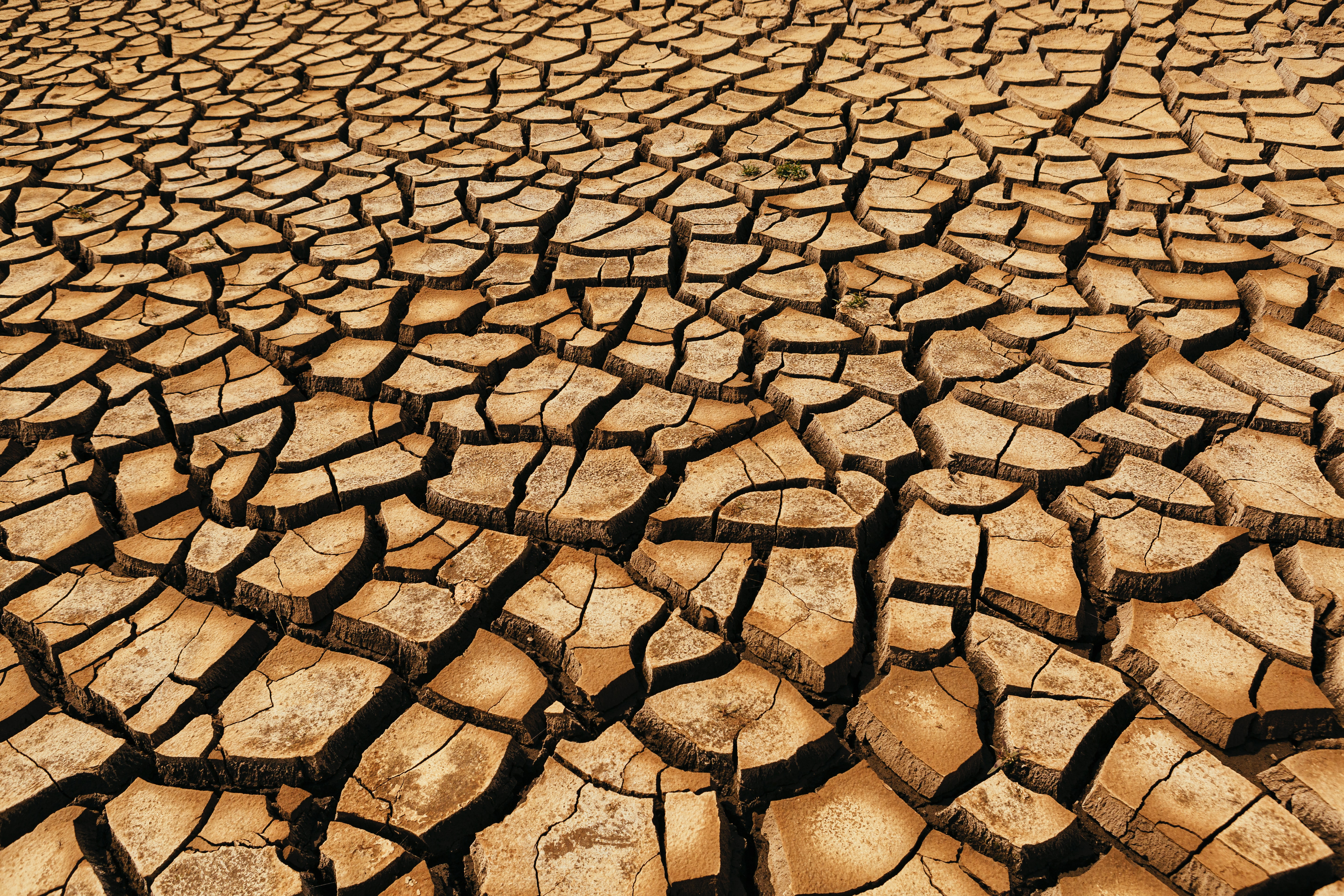 Download mobile wallpaper Land, Dry, Crack, Cracks, Brown, Texture, Textures, Earth for free.