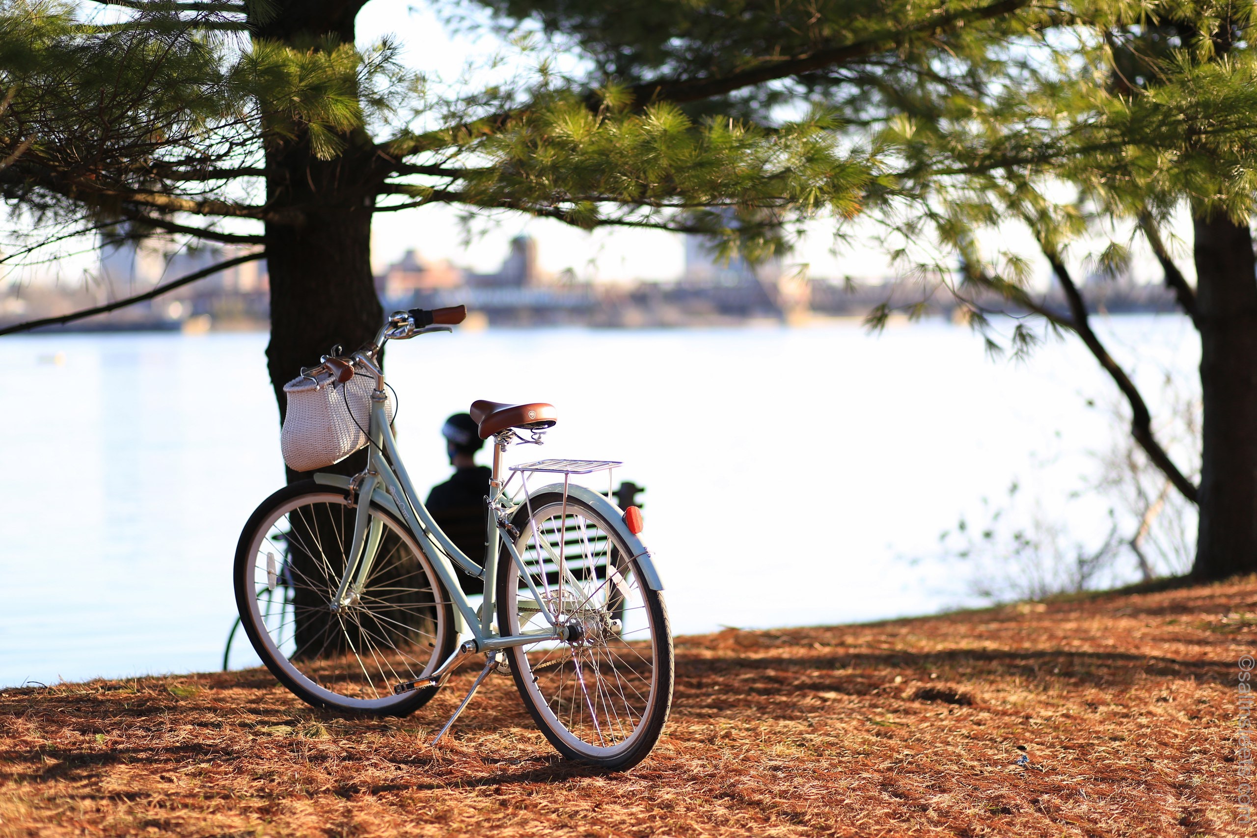 無料モバイル壁紙木, 自転車, 葉, その他, 雑, 木の葉, 川, 秋をダウンロードします。