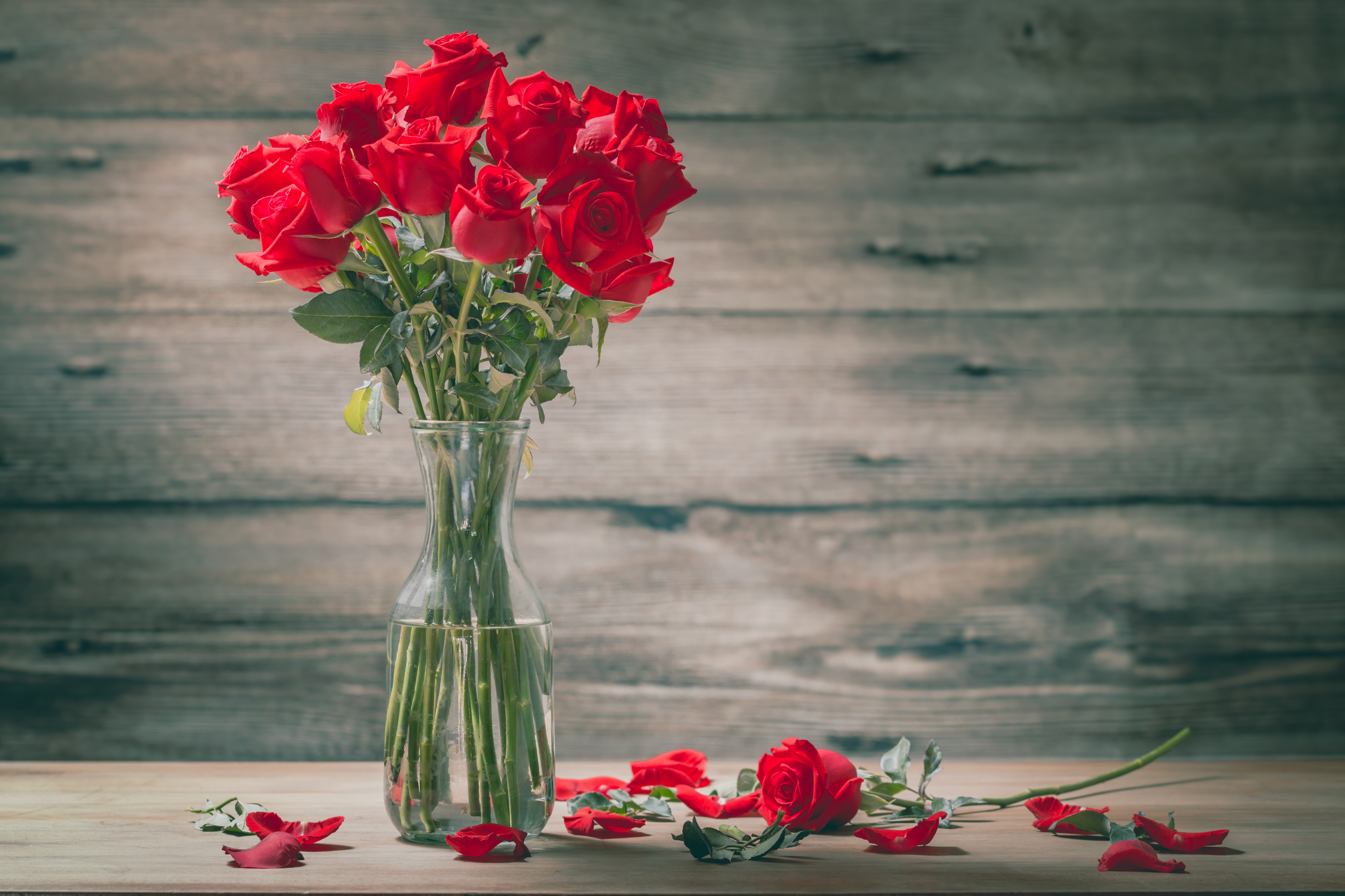 Download mobile wallpaper Flower, Rose, Bouquet, Red Flower, Man Made for free.