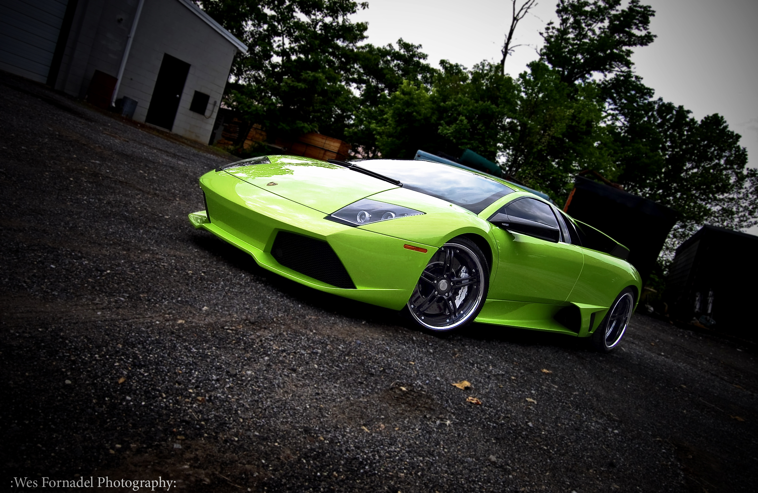 Baixe gratuitamente a imagem Veículos, Lamborghini Murciélago na área de trabalho do seu PC