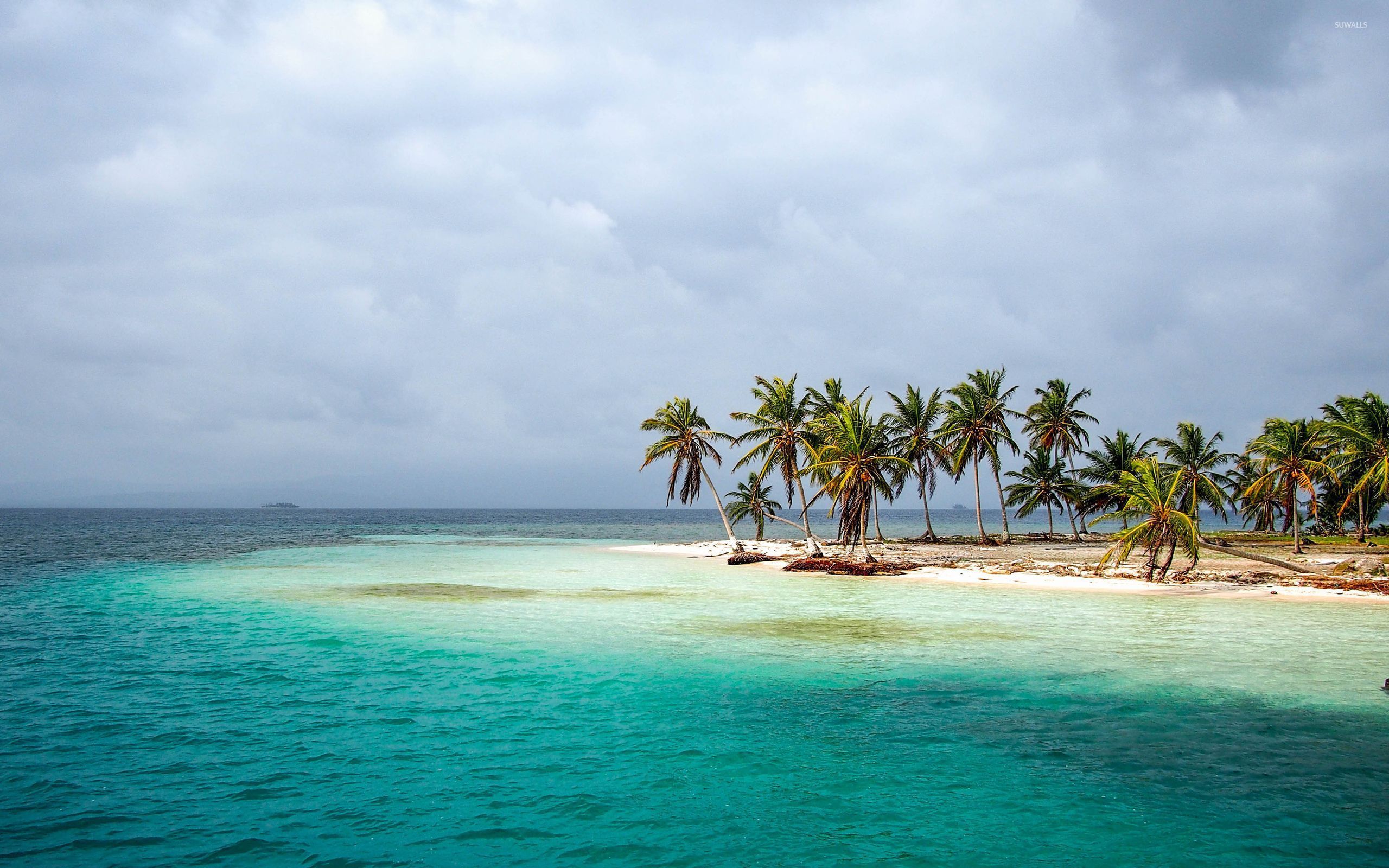 Free download wallpaper Sea, Horizon, Ocean, Earth, Island, Tropical, Palm Tree on your PC desktop