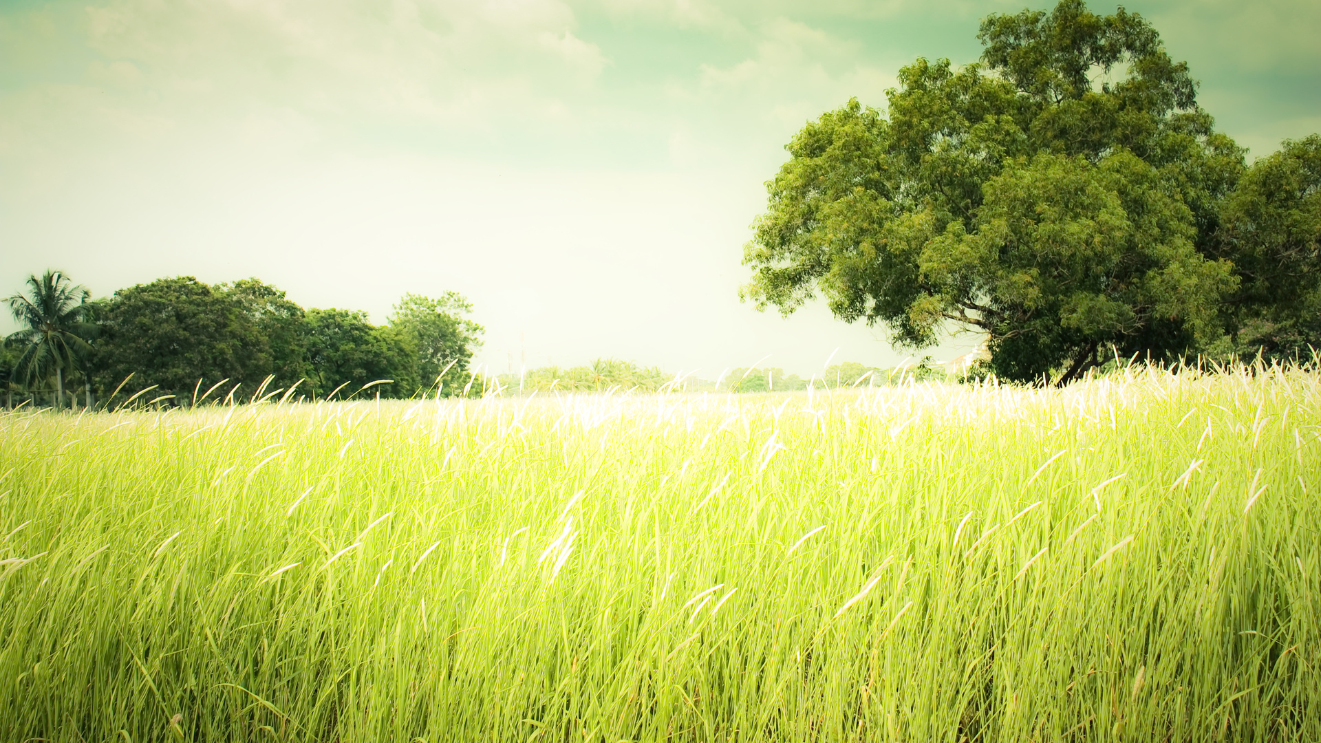 Descarga gratis la imagen Paisaje, Tierra/naturaleza en el escritorio de tu PC