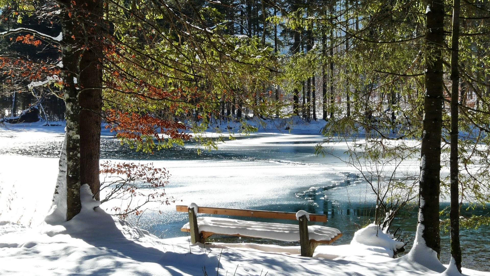 Скачать картинку Зима, Снег, Озеро, Дерево, Скамейка, Фотографии, Лёд в телефон бесплатно.