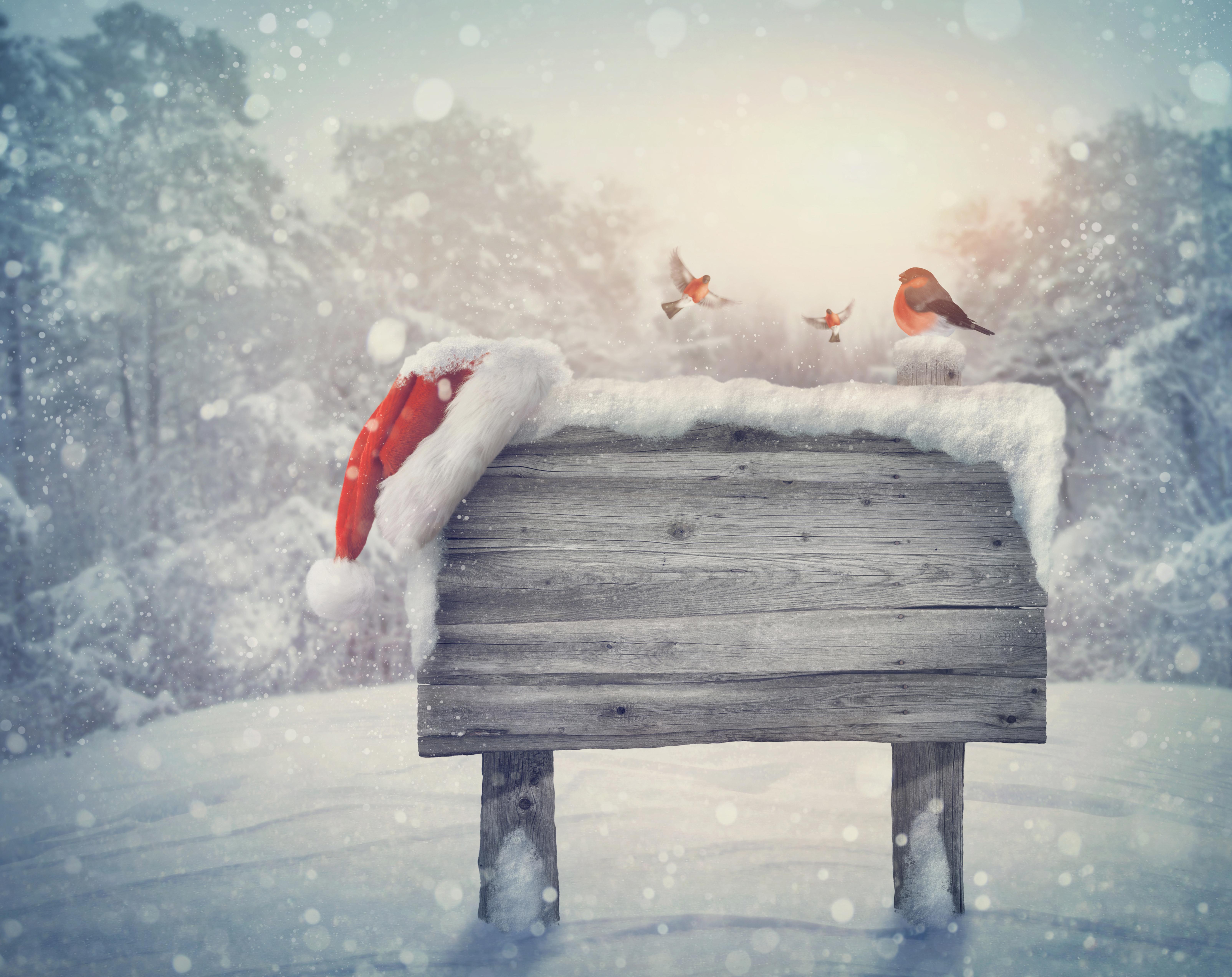 875637 скачать картинку праздничные, рождество, снегирь, шляпа санты, снег - обои и заставки бесплатно