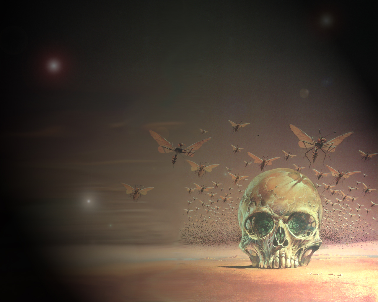 Free download wallpaper Dark, Skull on your PC desktop