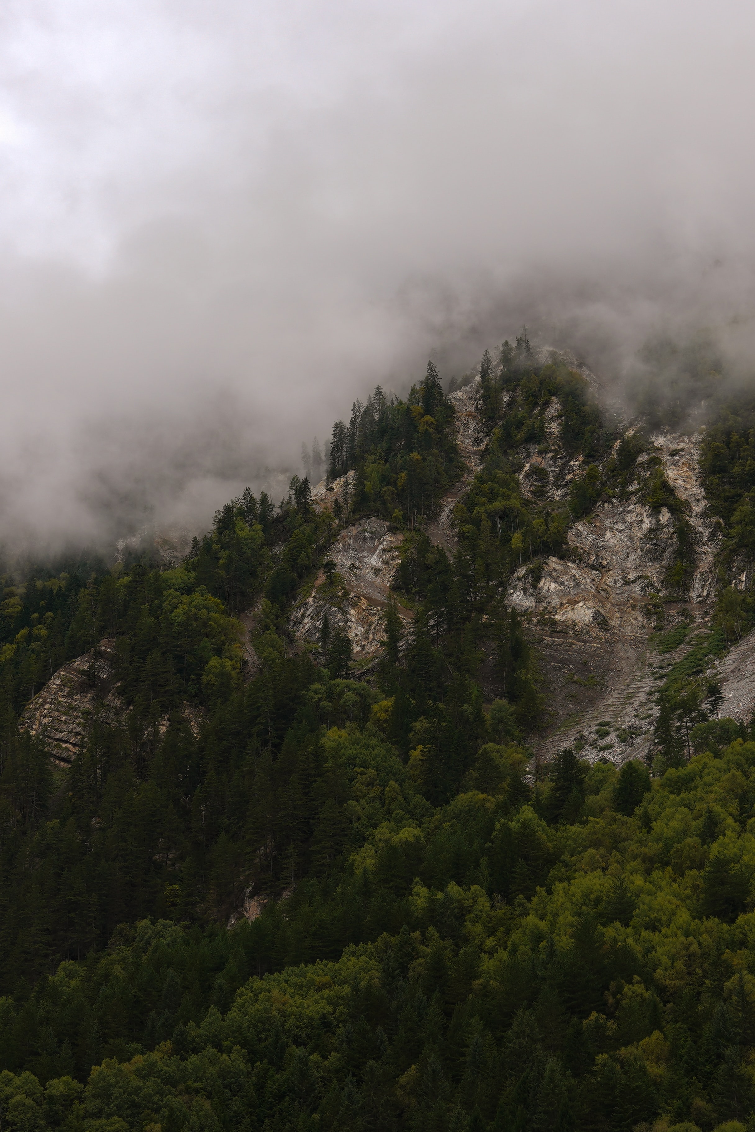 Download mobile wallpaper Forest, Clouds, Fog, Trees, Rocks, Nature, Mountains for free.
