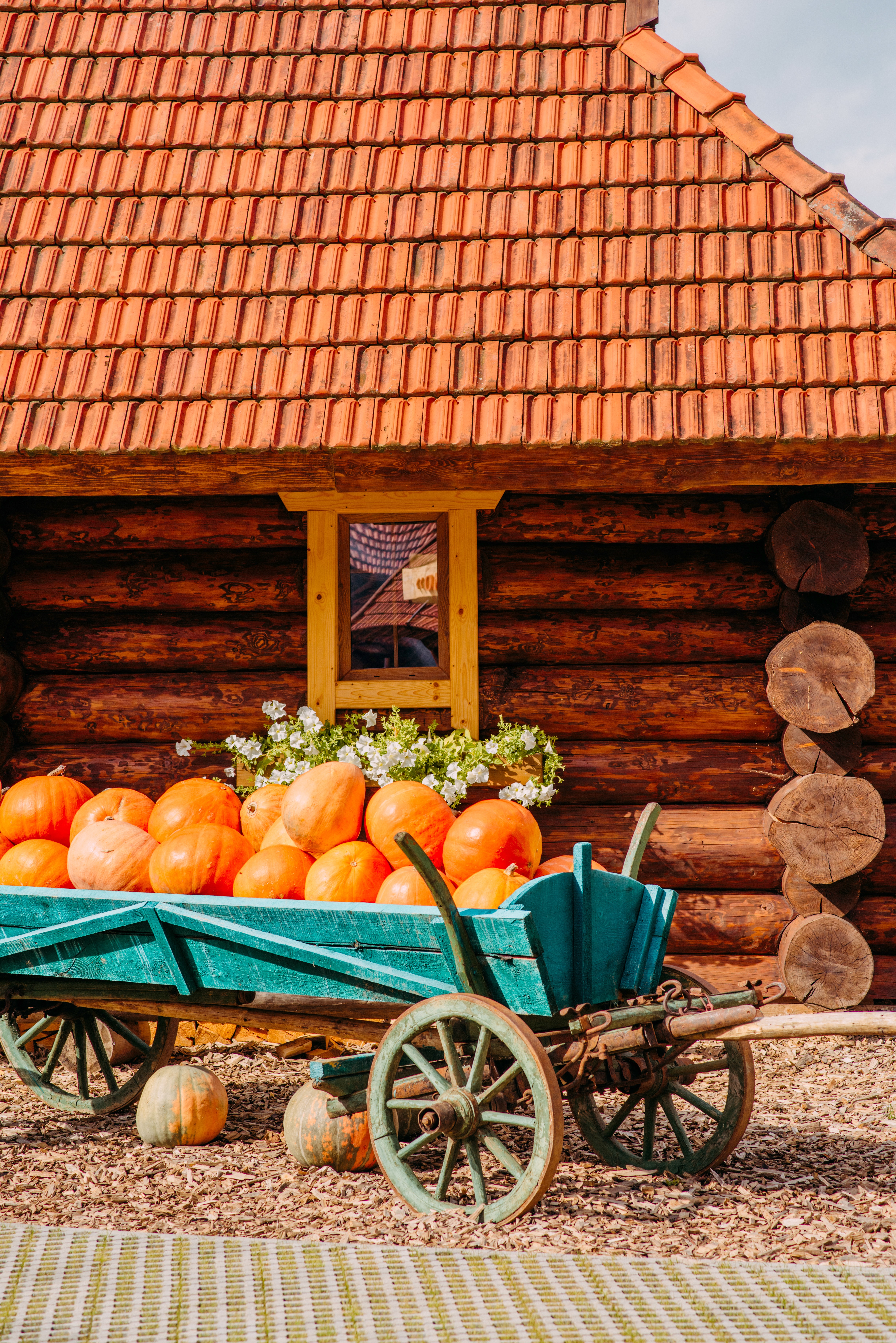 harvest, pumpkin, miscellanea, miscellaneous, house, village, truck, trolley