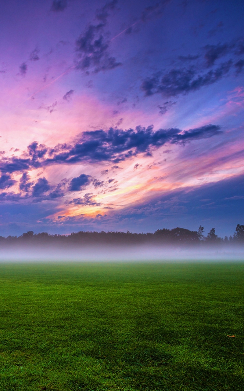 Download mobile wallpaper Landscape, Nature, Grass, Fog, Earth, Field, Cloud for free.