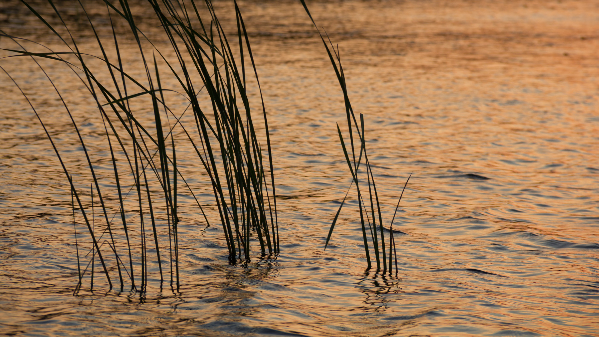 Download mobile wallpaper Water, Lake, Light, Earth for free.