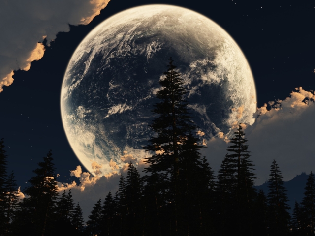 Laden Sie das Mond, Wald, Baum, Wolke, Himmel, Erde/natur-Bild kostenlos auf Ihren PC-Desktop herunter