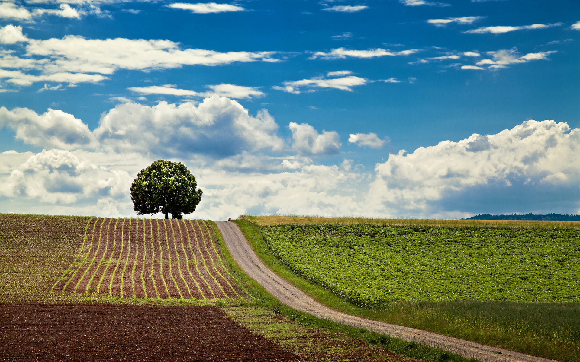 Descarga gratis la imagen Tierra/naturaleza, Paisaje en el escritorio de tu PC