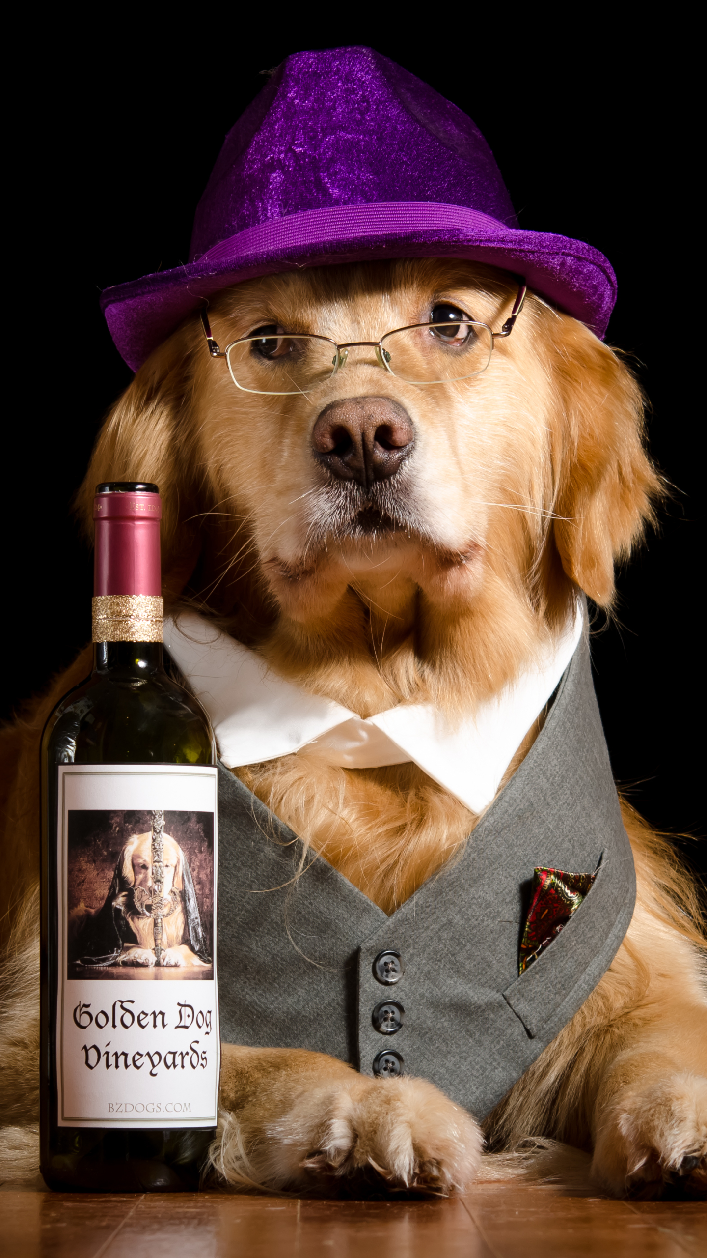 Free download wallpaper Dogs, Dog, Animal, Golden Retriever, Glasses, Hat, Bottle, Humor on your PC desktop