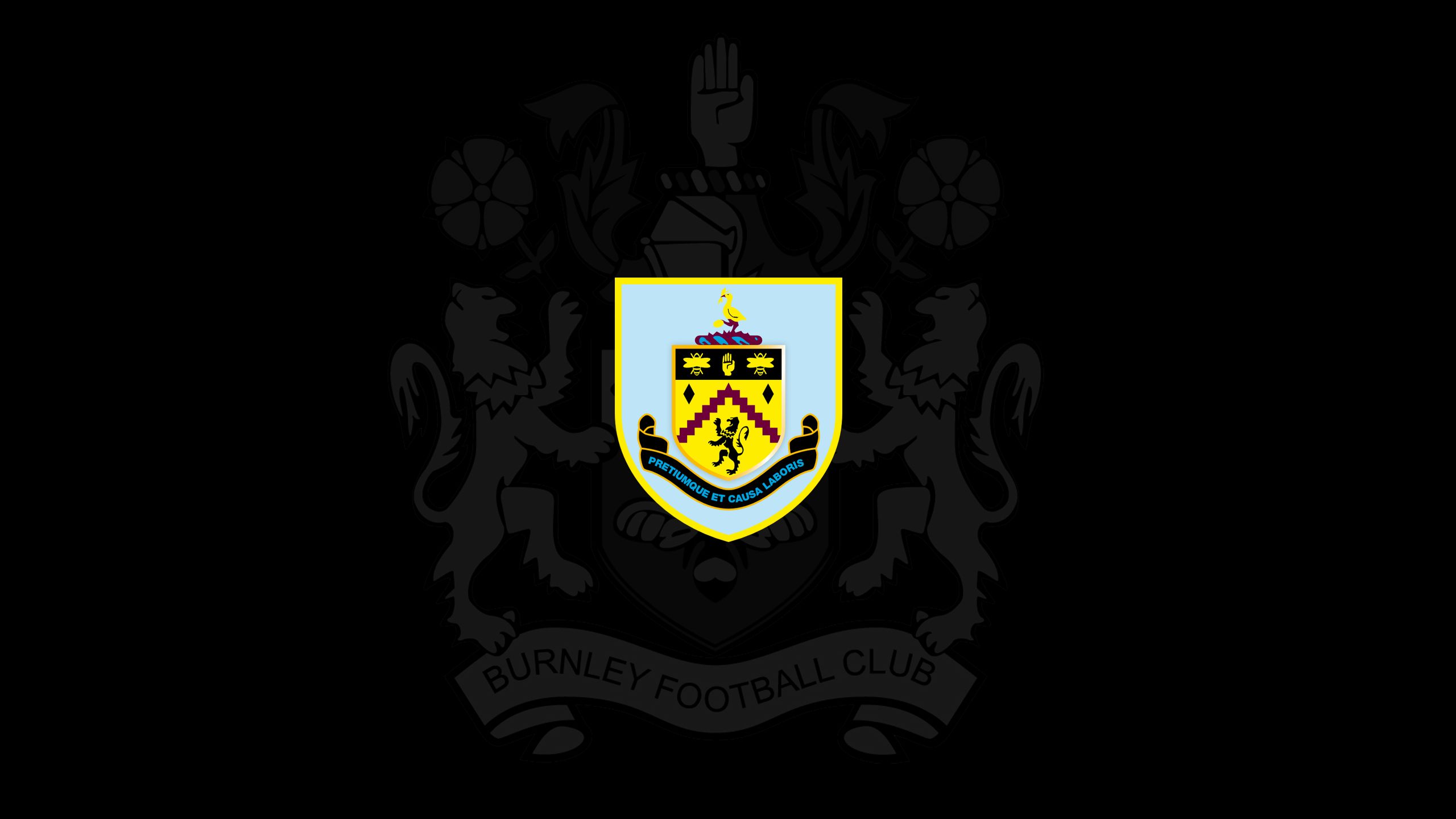 Baixar papel de parede para celular de Esportes, Futebol, Logotipo, Emblema, Burnley F C gratuito.
