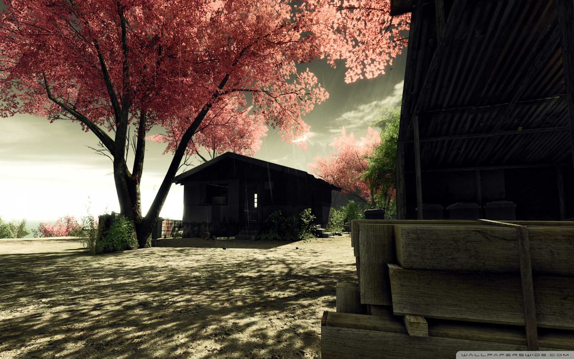 Free download wallpaper Crysis, Tree, Hut, Video Game, Sakura Blossom on your PC desktop