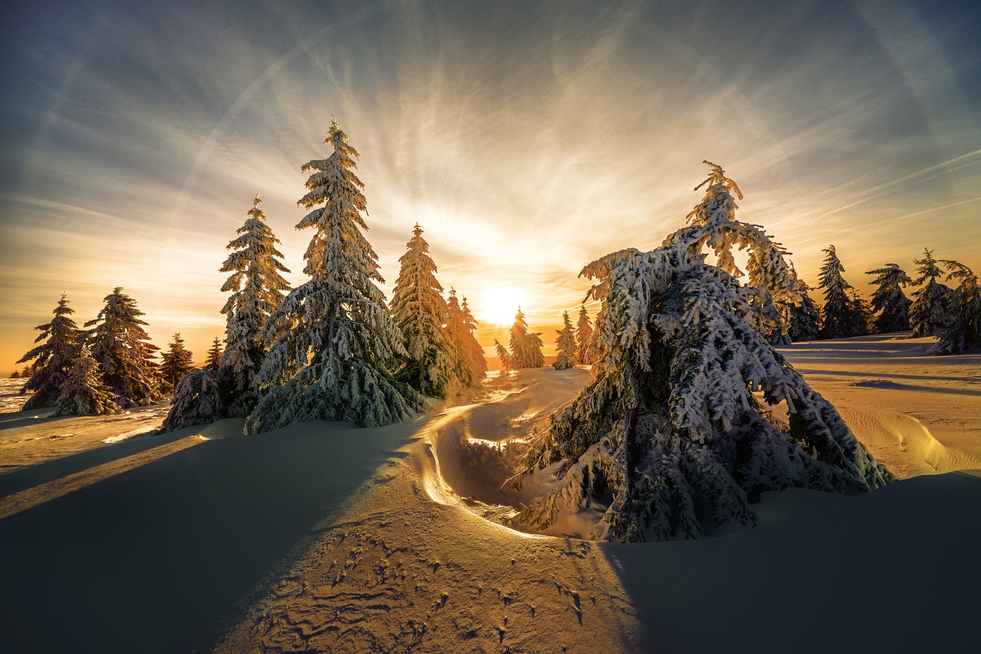 Скачать обои бесплатно Зима, Снег, Рассвет, Ель, Земля/природа, Солнечный Лучик картинка на рабочий стол ПК