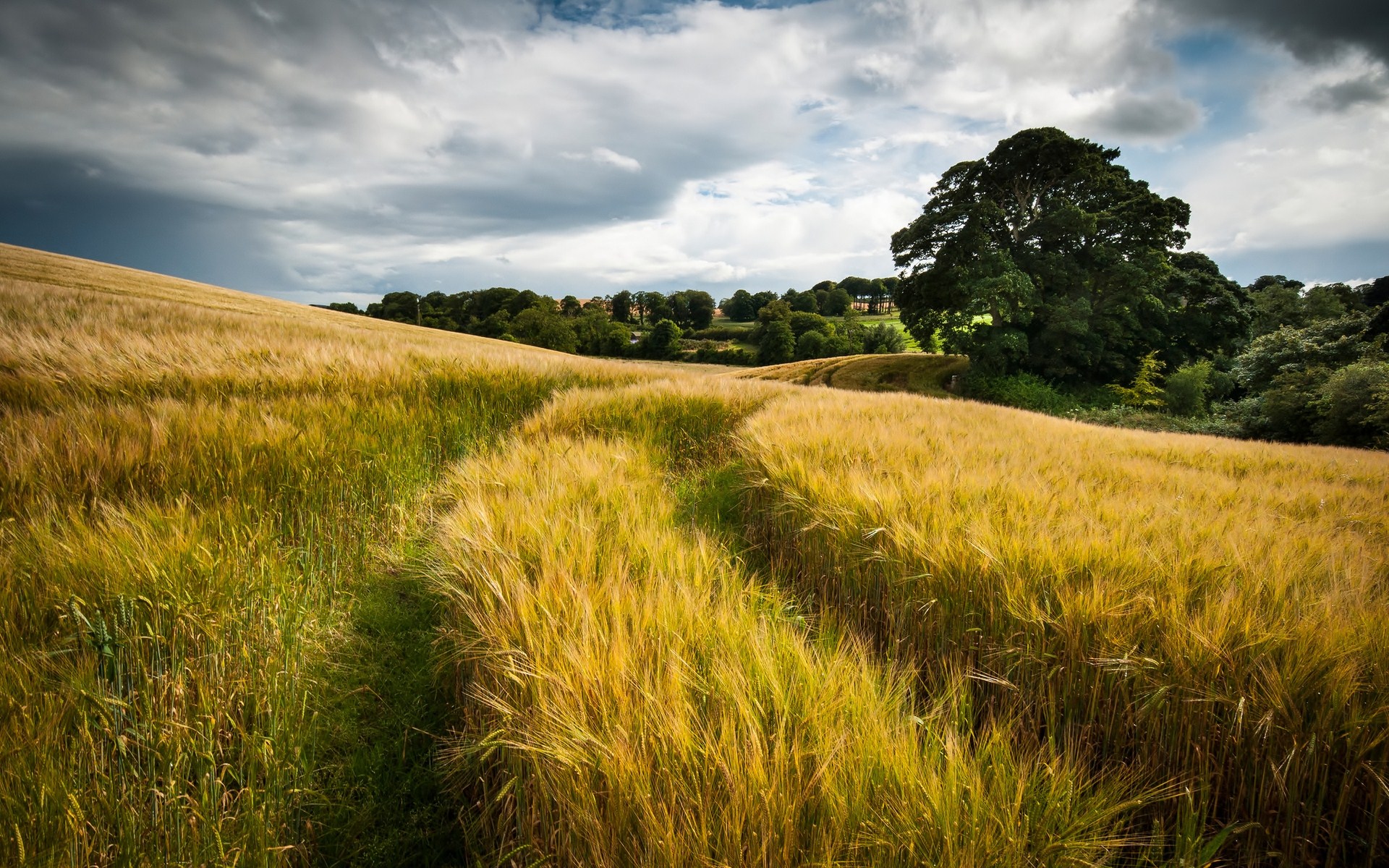 Free download wallpaper Earth, Field on your PC desktop