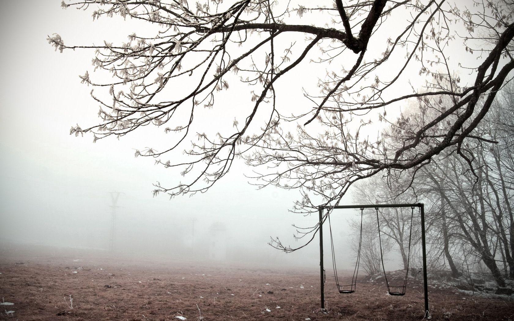 swing, nature, ice, wood, tree, fog, branches, branch, frost, cold, emptiness, void