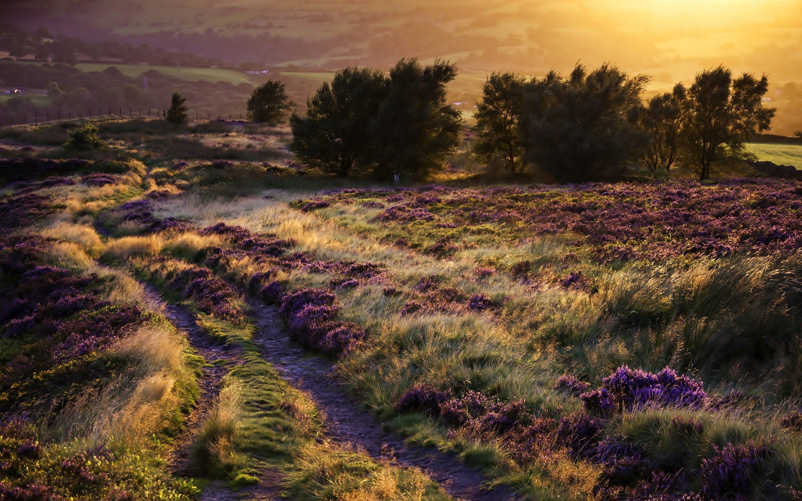 Handy-Wallpaper Landschaft, Erde/natur kostenlos herunterladen.