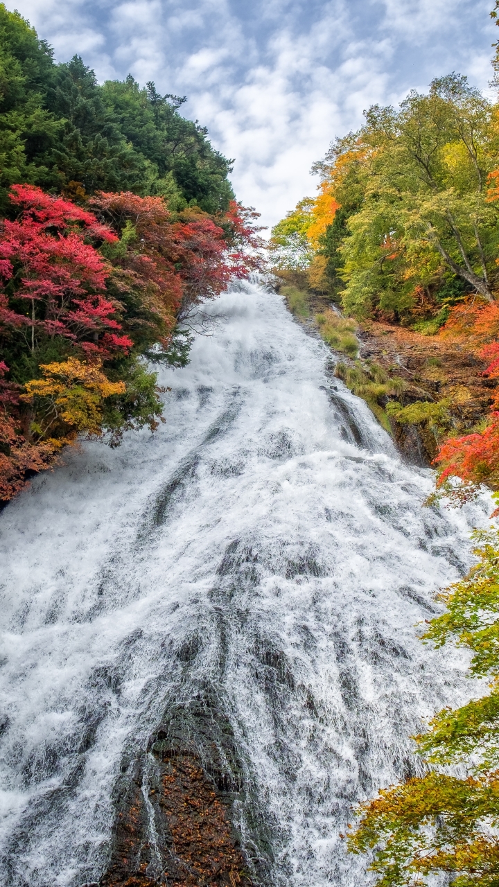 Скачать картинку Природа, Осень, Водопады, Водопад, Япония, Падать, Земля/природа в телефон бесплатно.