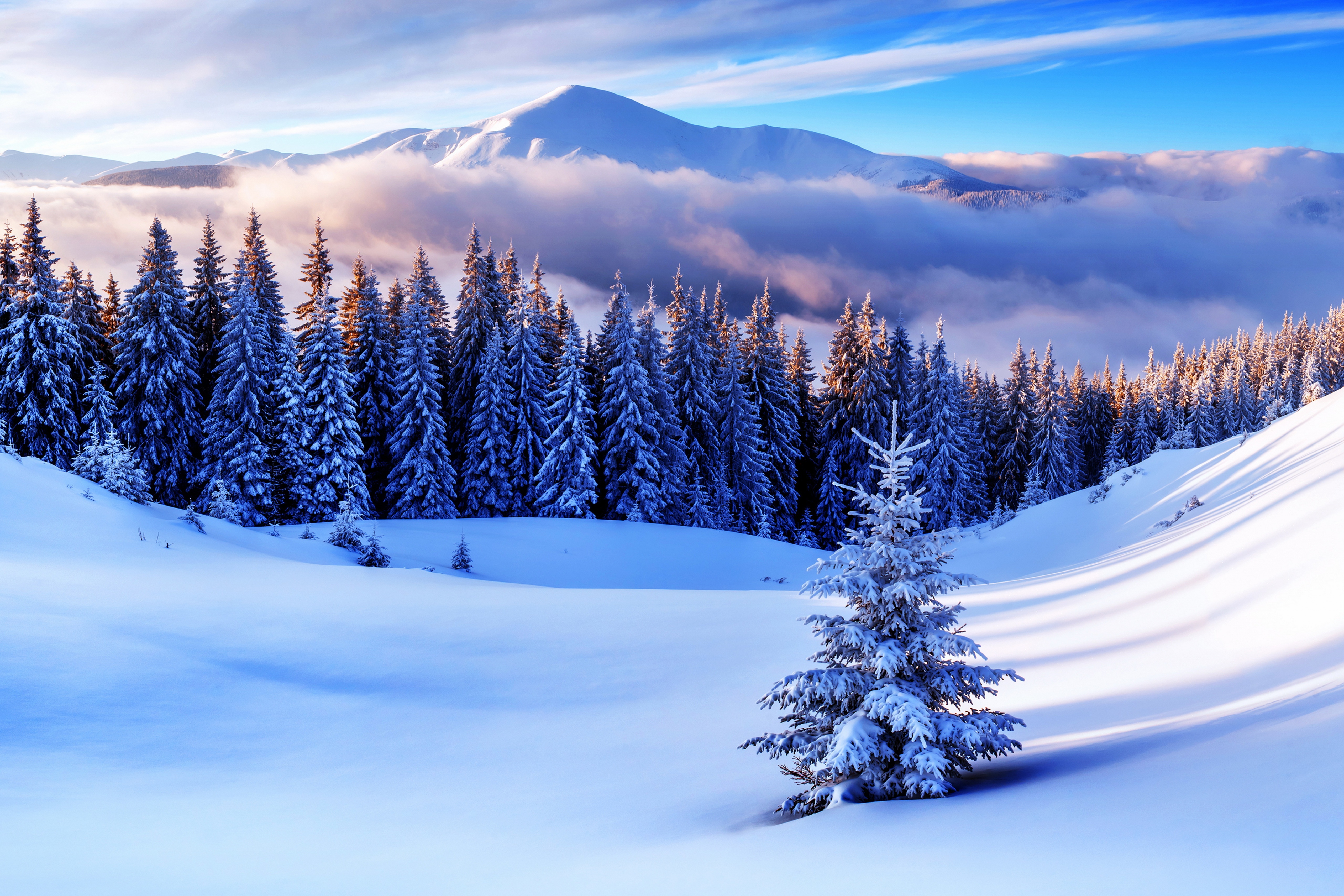 Скачать обои бесплатно Зима, Облака, Снег, Гора, Лес, Дерево, Земля/природа картинка на рабочий стол ПК