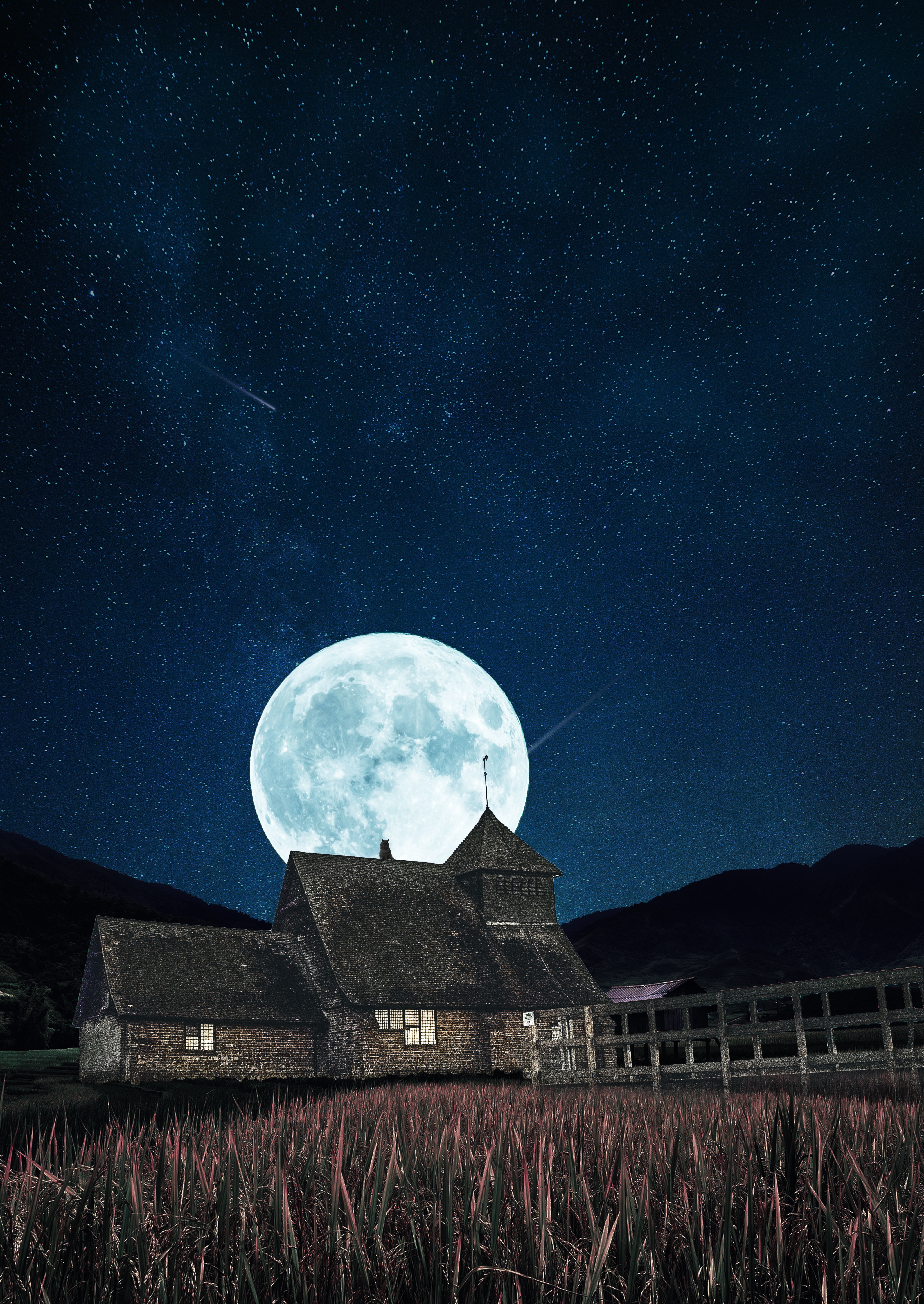 moon, full moon, building, starry sky, night, miscellanea, miscellaneous HD wallpaper