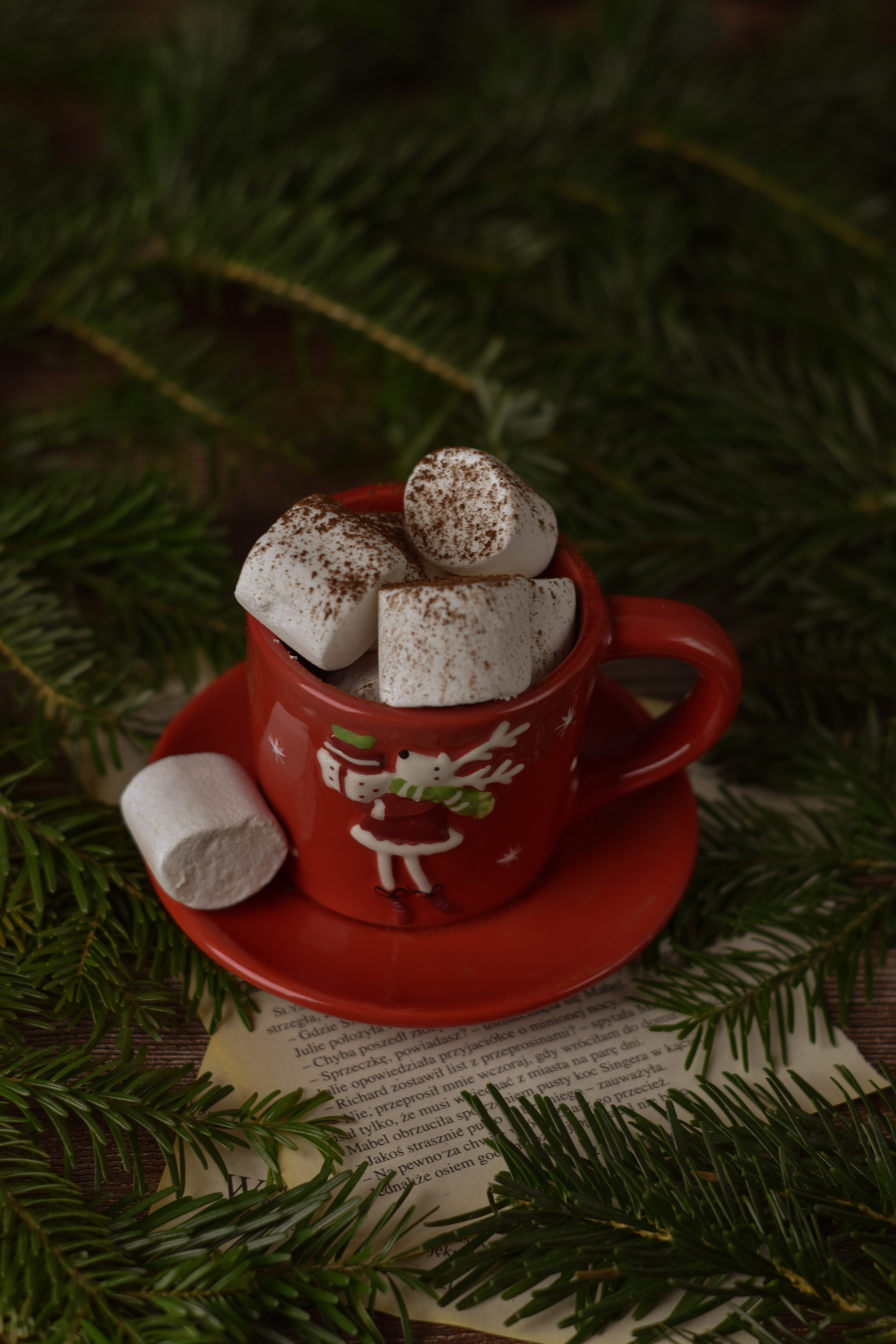 holidays, new year, cup, christmas, branches, spruce, fir, mug, marshmallow, zephyr