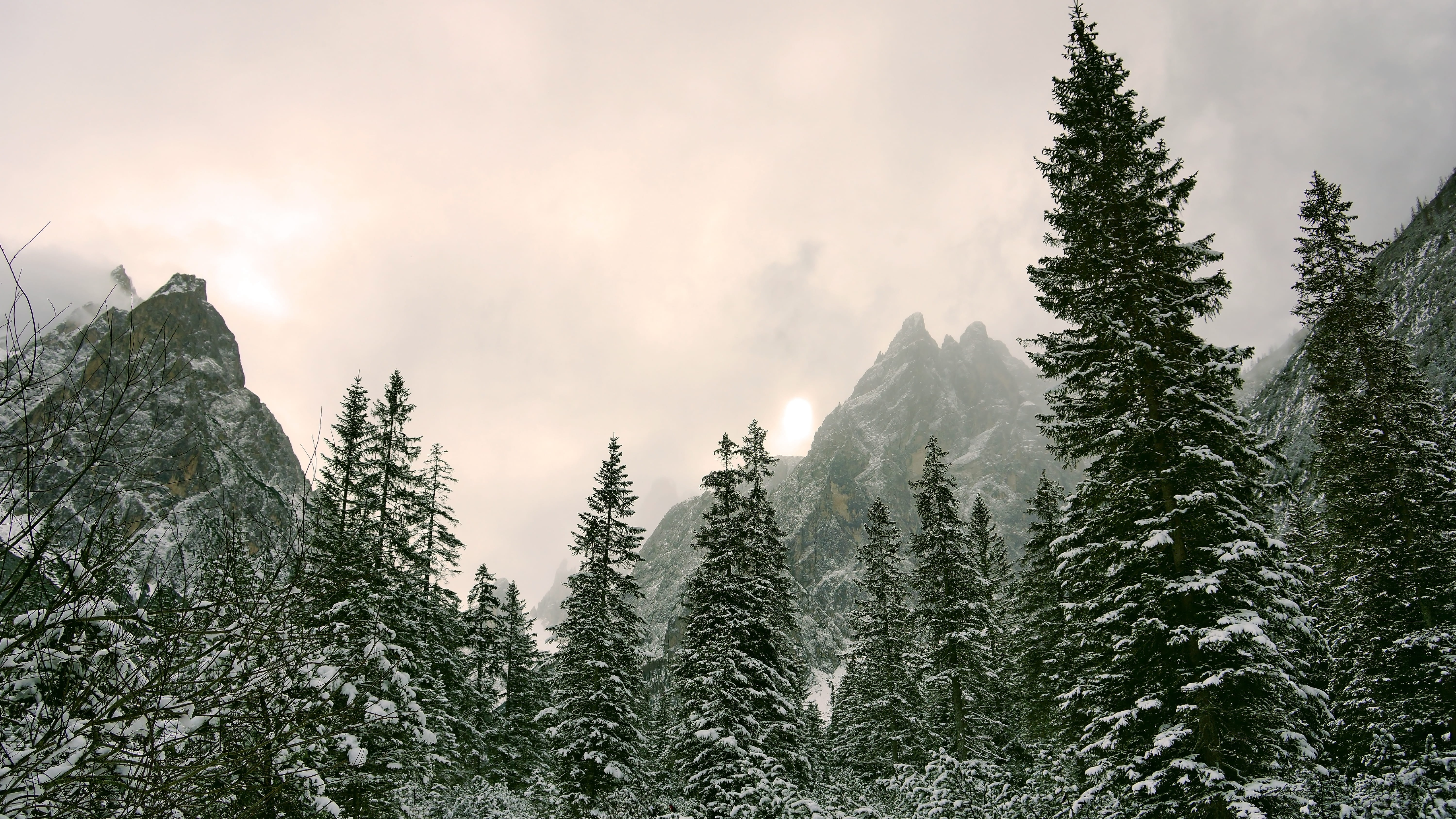 Download mobile wallpaper Winter, Nature, Sky, Mountain, Earth, Fir Tree for free.