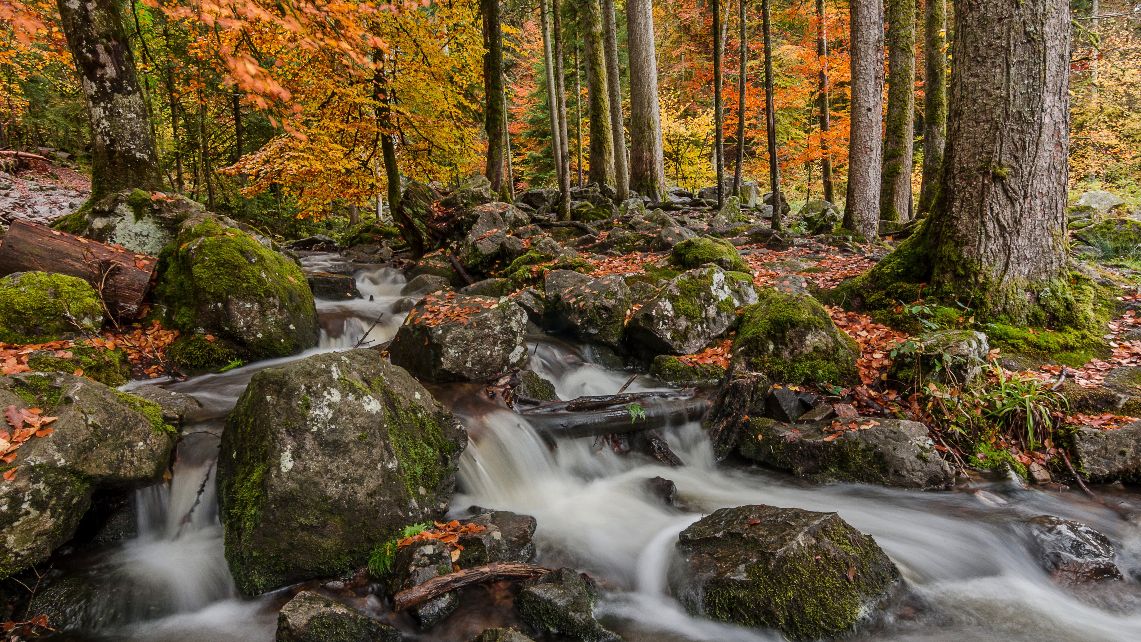 Download mobile wallpaper Forest, Fall, Earth, Stone, Stream, River for free.