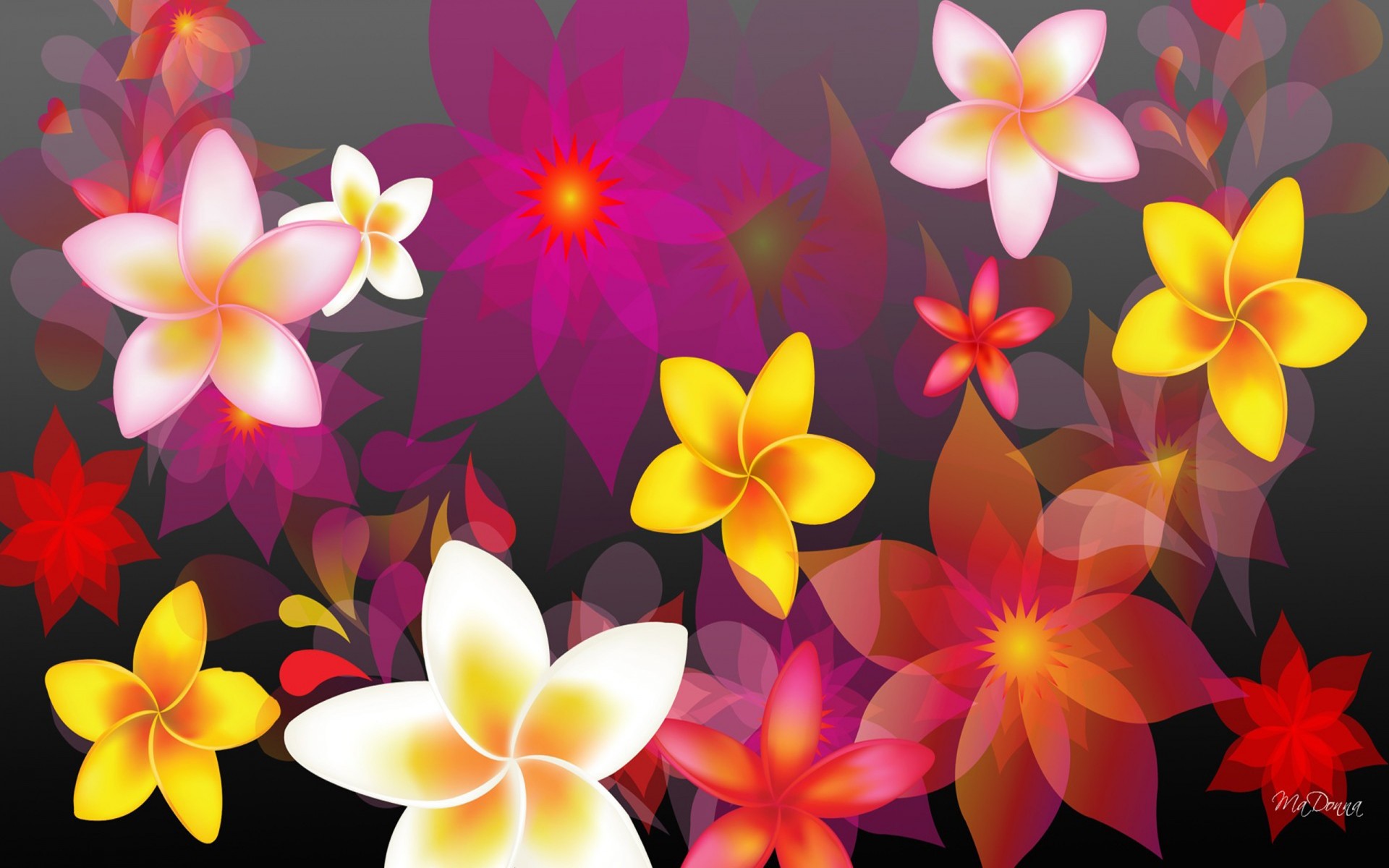 Baixar papel de parede para celular de Flores, Flor, Brilhante, Colorido, Frangipani, Artistico gratuito.