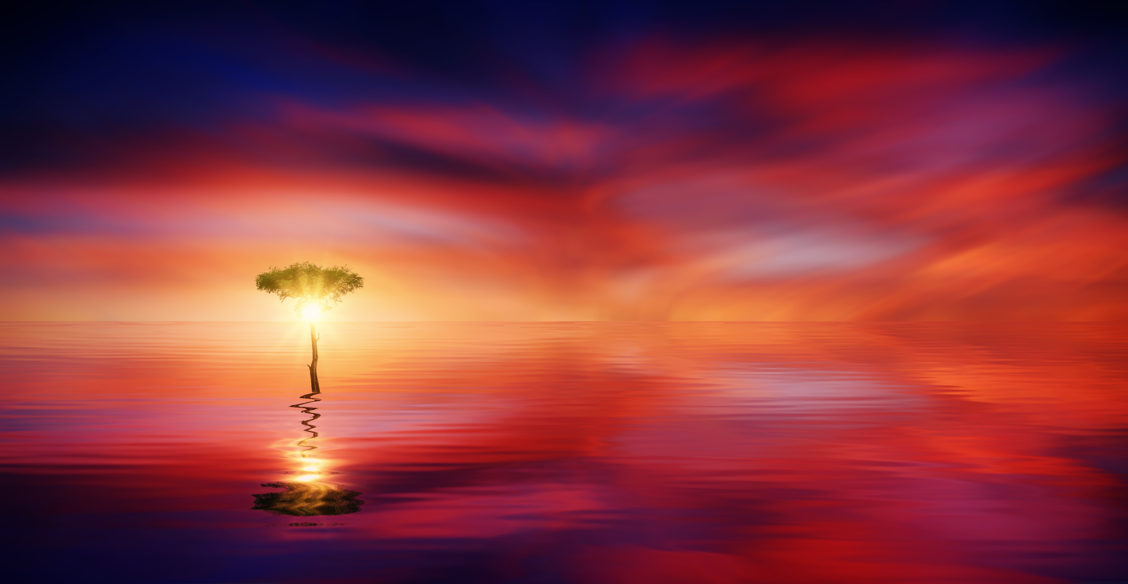 Free download wallpaper Horizon, Tree, Wood, Reflection, Nature, Sea on your PC desktop