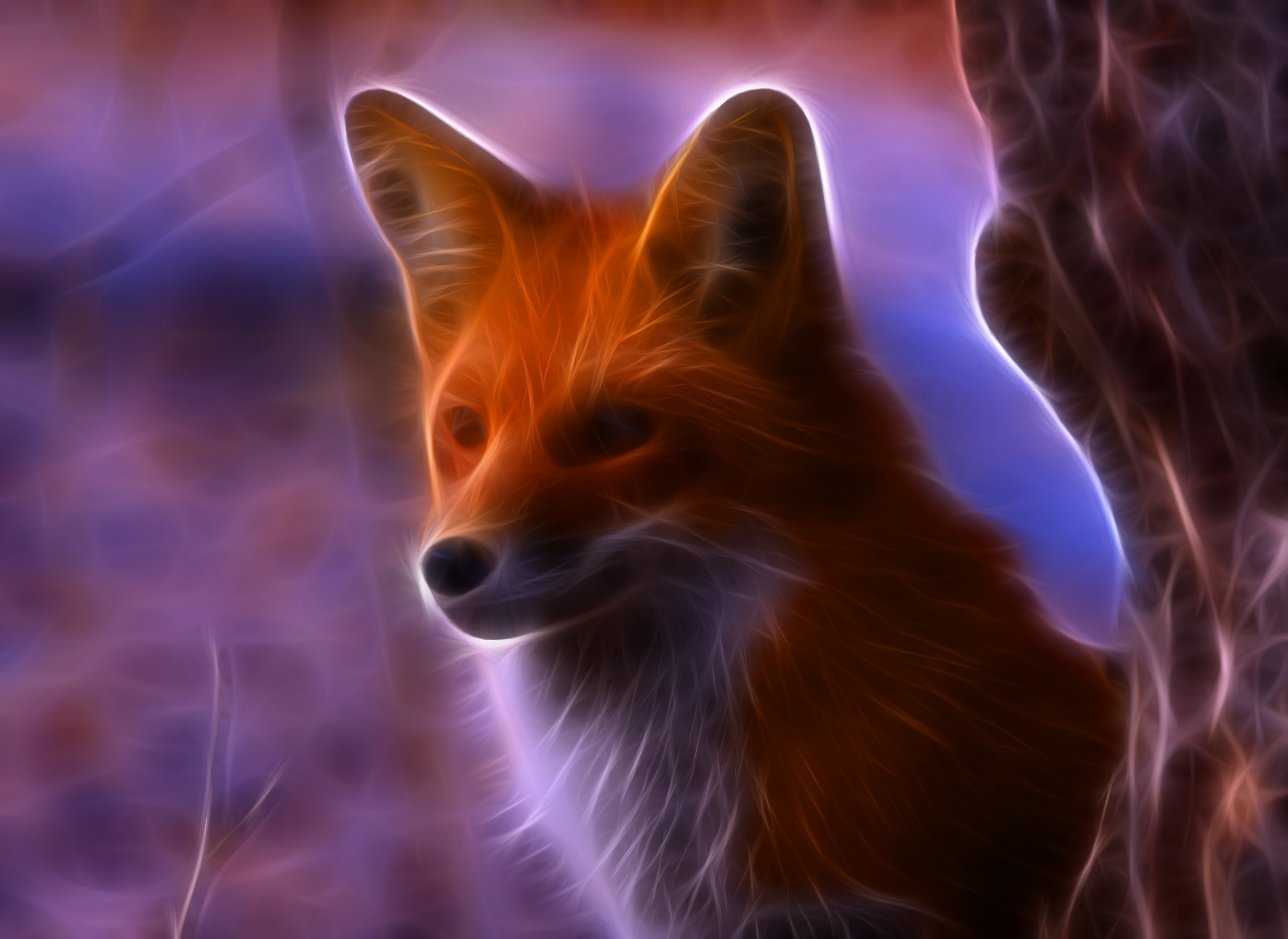animal, artistic, fox Panoramic Wallpaper