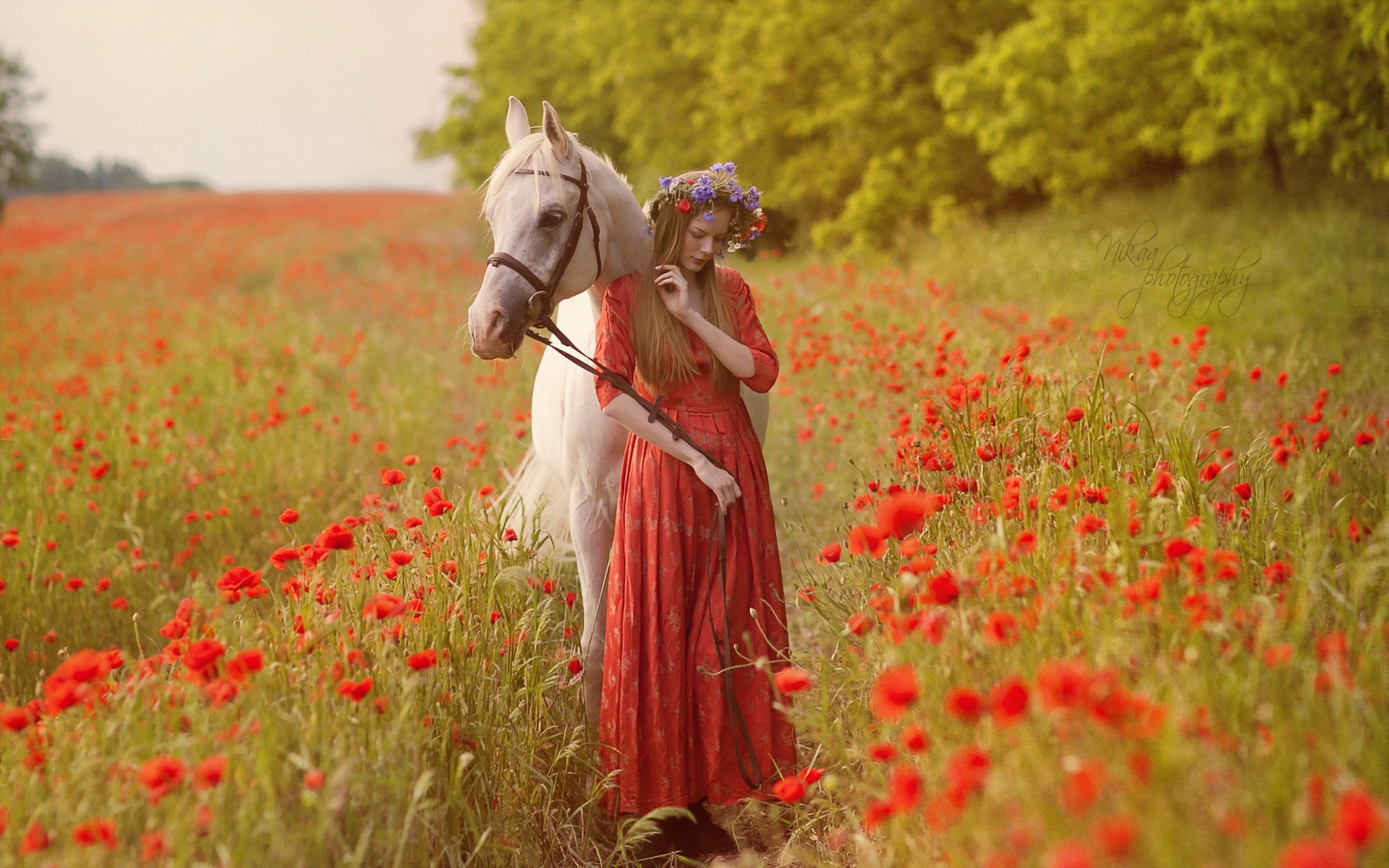無料モバイル壁紙馬, ポピー, 花輪, ムード, 女性, 赤い花, 分野, 赤いドレスをダウンロードします。