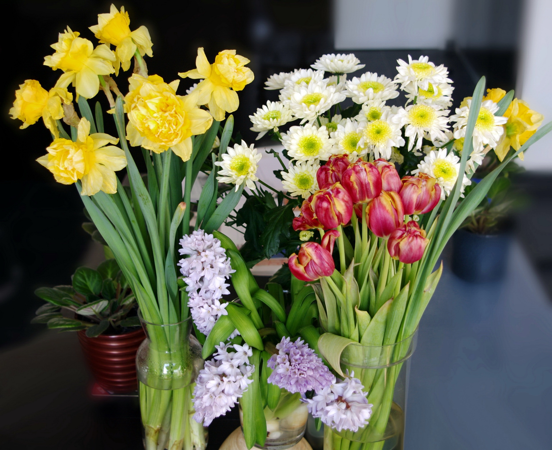 87839 descargar fondo de pantalla bouquets, flores, tulipanes, camomila, narcisos, jarrones, floreros: protectores de pantalla e imágenes gratis