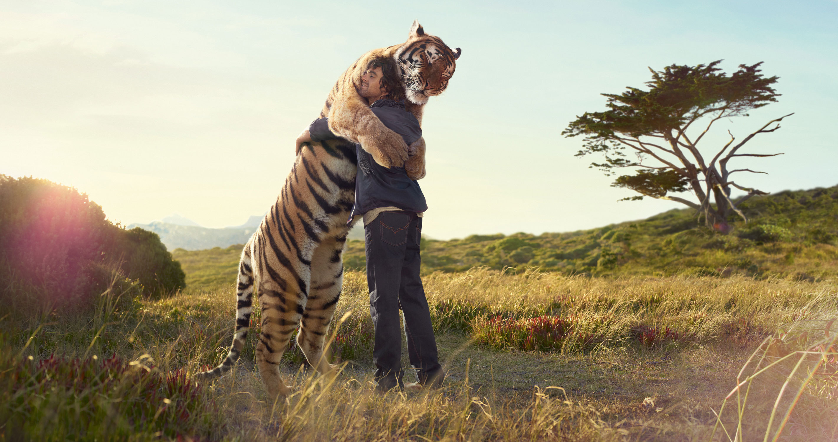 Free download wallpaper Animals, People, Tigers on your PC desktop