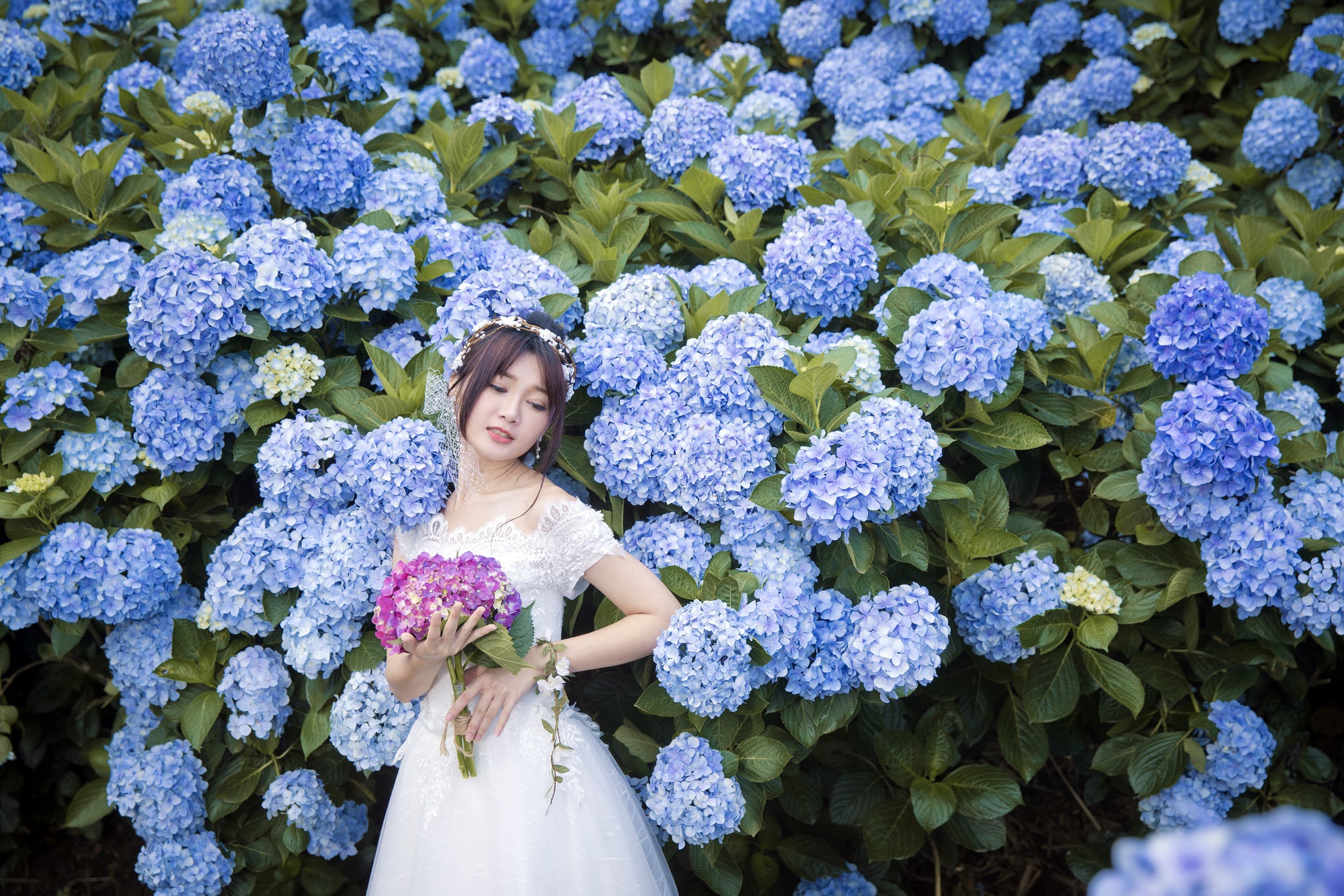 Download mobile wallpaper Flower, Hydrangea, Bride, Model, Women, Asian, White Dress, Blue Flower for free.