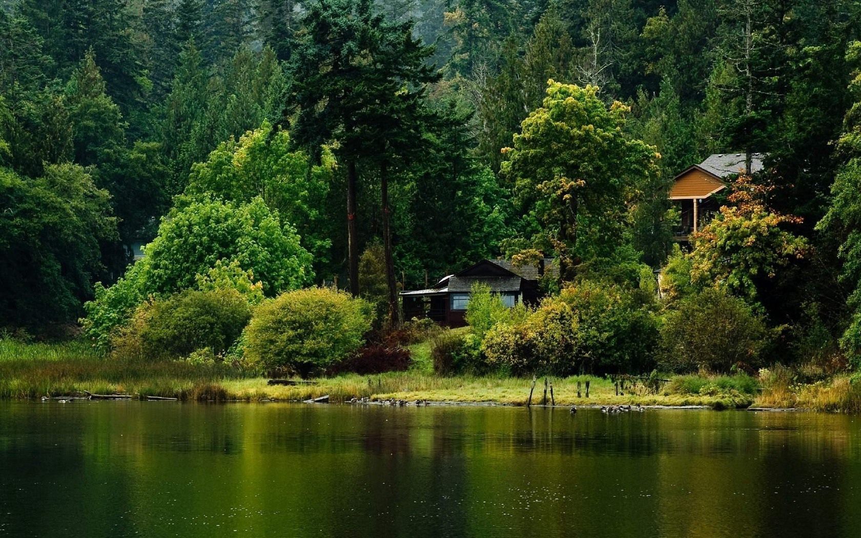 small house, nature, lake, shore, bank, forest, lodge