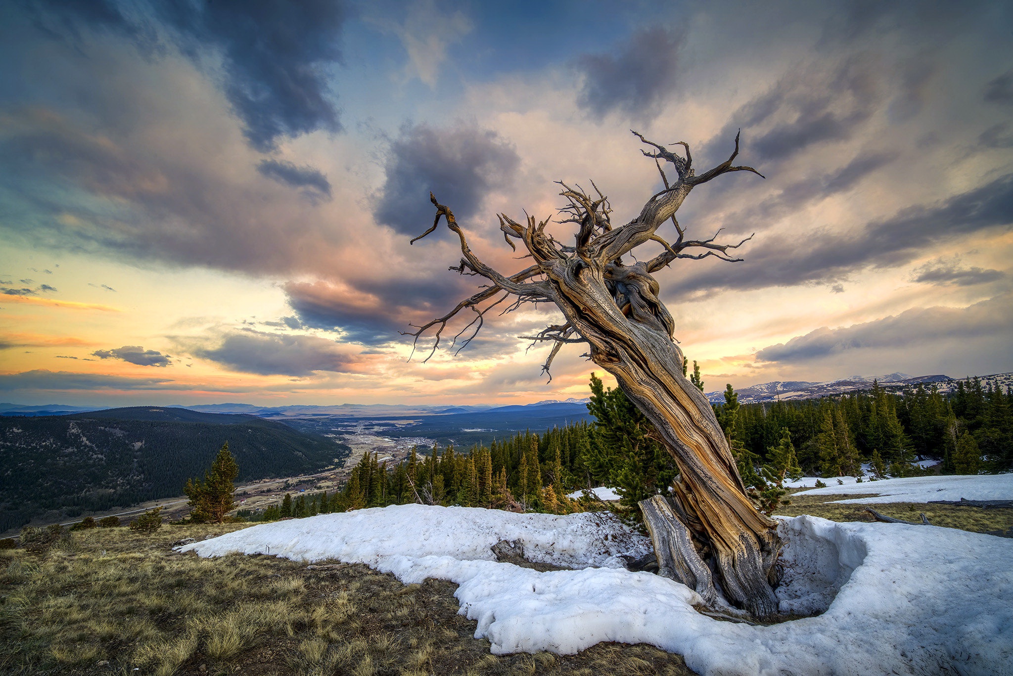 Laden Sie das Landschaft, Bäume, Schnee, Holz, Baum, Erde/natur-Bild kostenlos auf Ihren PC-Desktop herunter