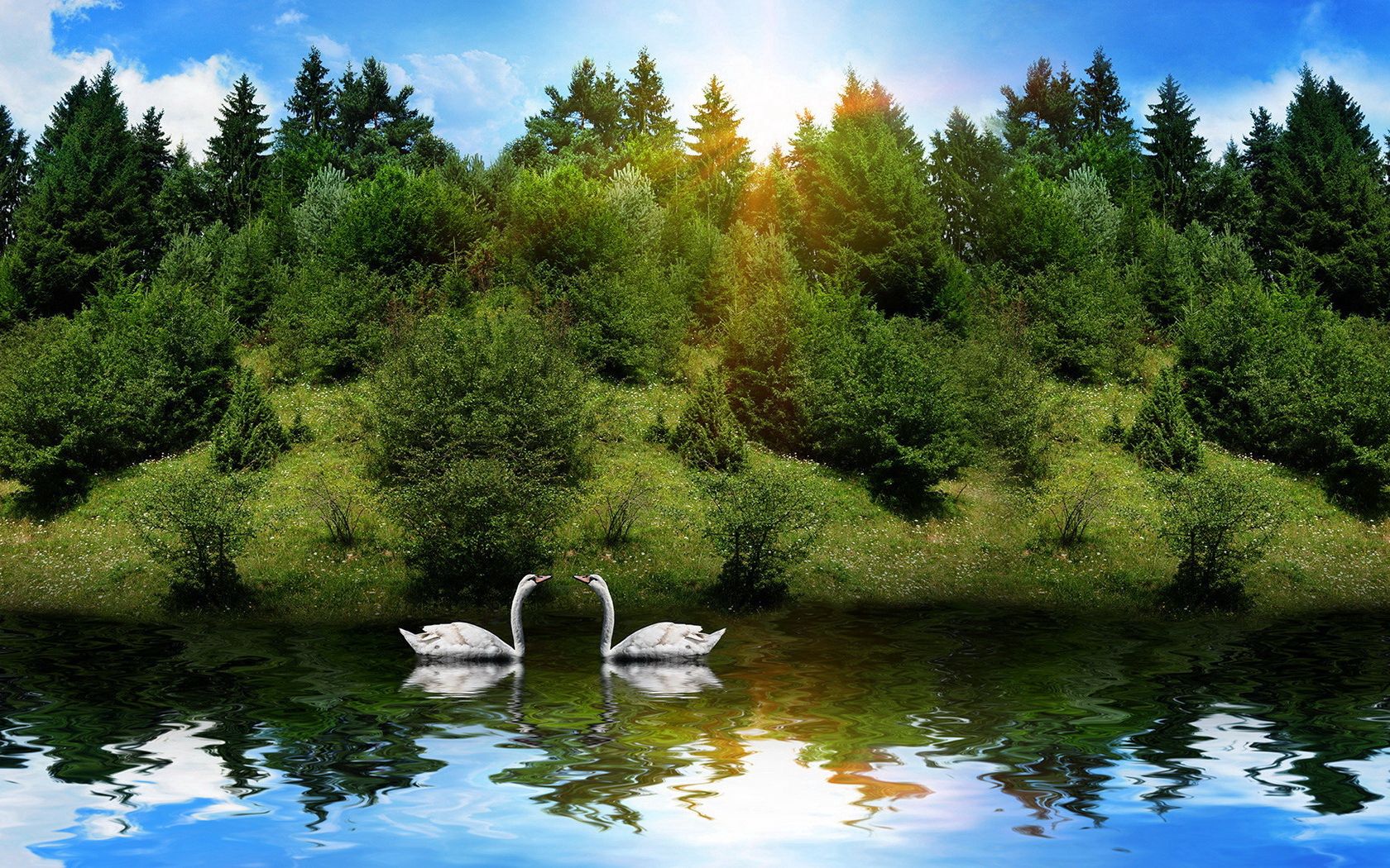 152796 скачать обои лебеди, река, трава, деревья, животные, пара, птицы, солнечный свет - заставки и картинки бесплатно