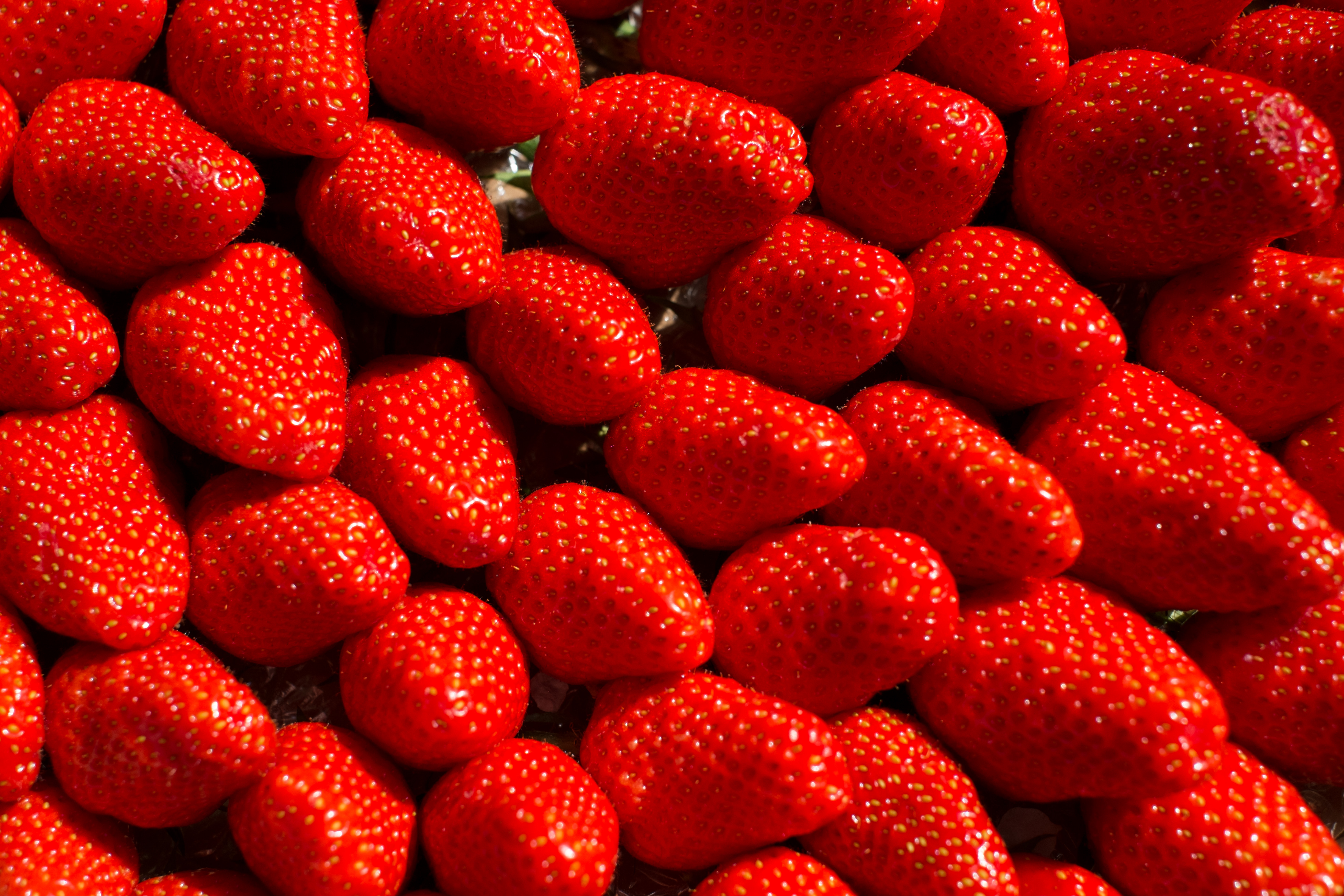 Download mobile wallpaper Macro, Food, Berry, Fruit, Strawberry for free.