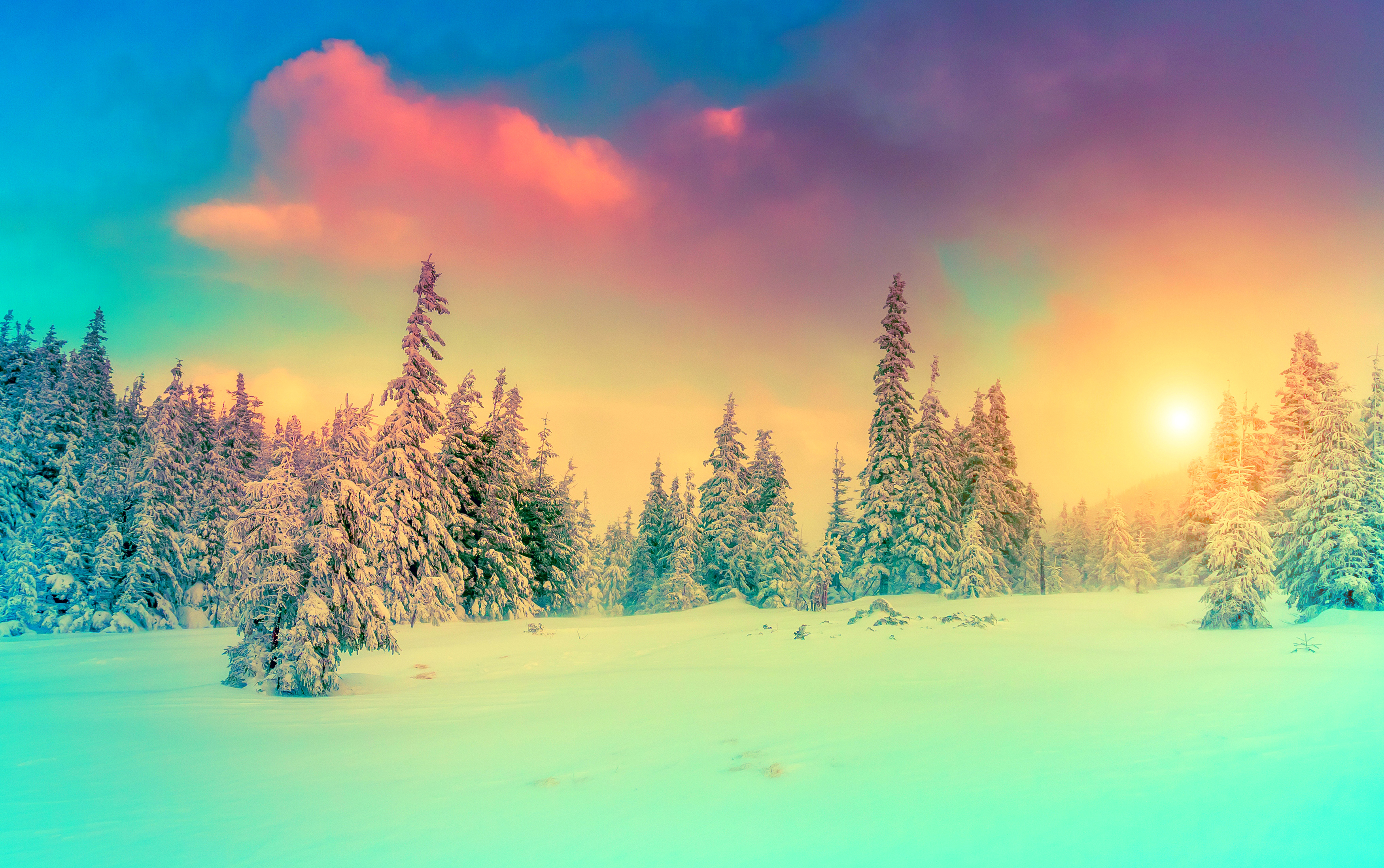 Завантажити шпалери безкоштовно Пейзаж, Зима, Природа, Небо, Сніг, Ліс, Земля картинка на робочий стіл ПК